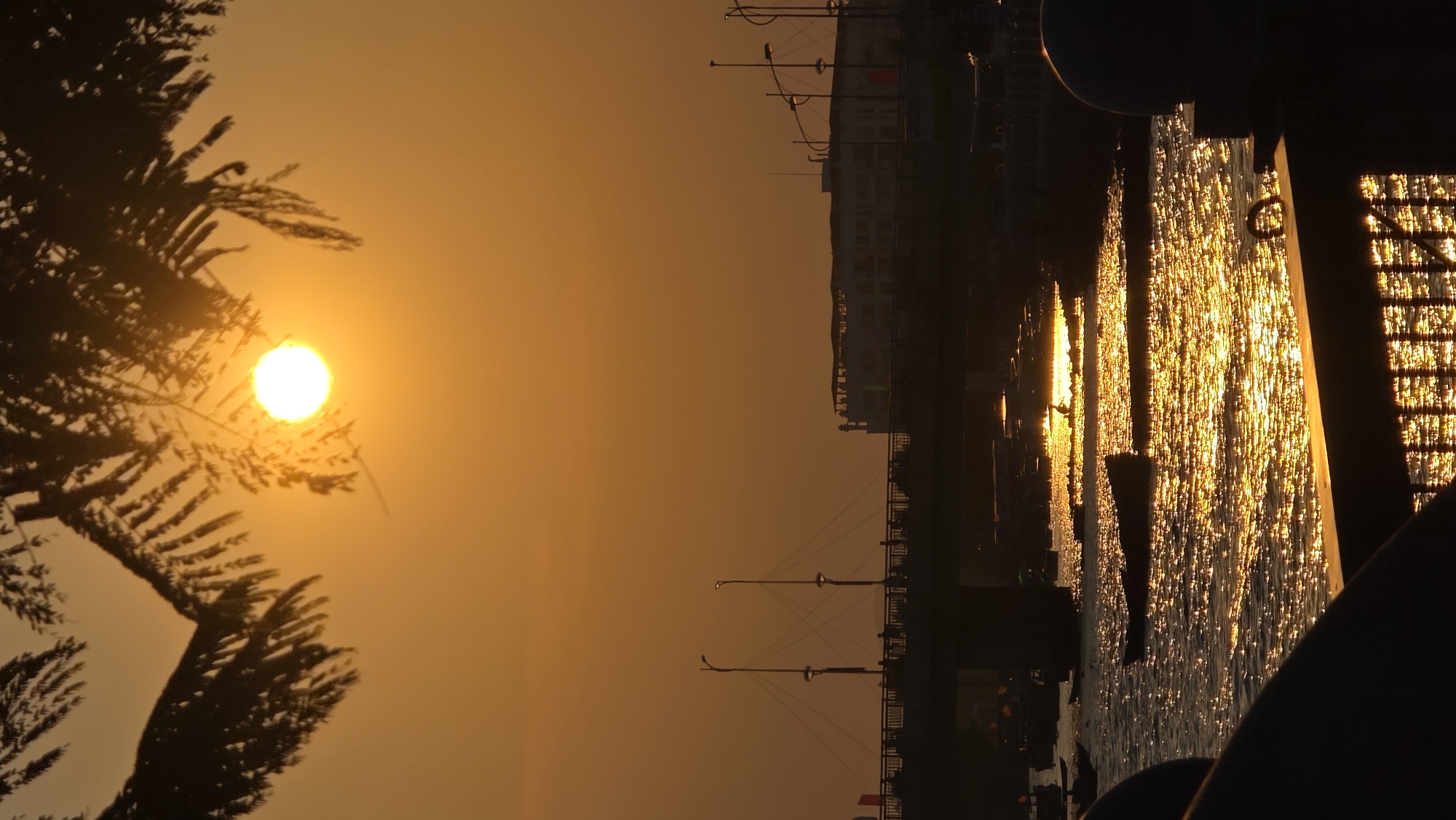 At dusk, a landscape is captured with the sun sitting behind a tree. The sun casts a golden hue across the sky. The water reflects the sun and silhouettes a bridge. The lights of the city are also faintly visible in the distance. A dock or railing is in the foreground. It is likely that this photograph was taken in Bắc Nha Trang, Vietnam, as the location was requested.
