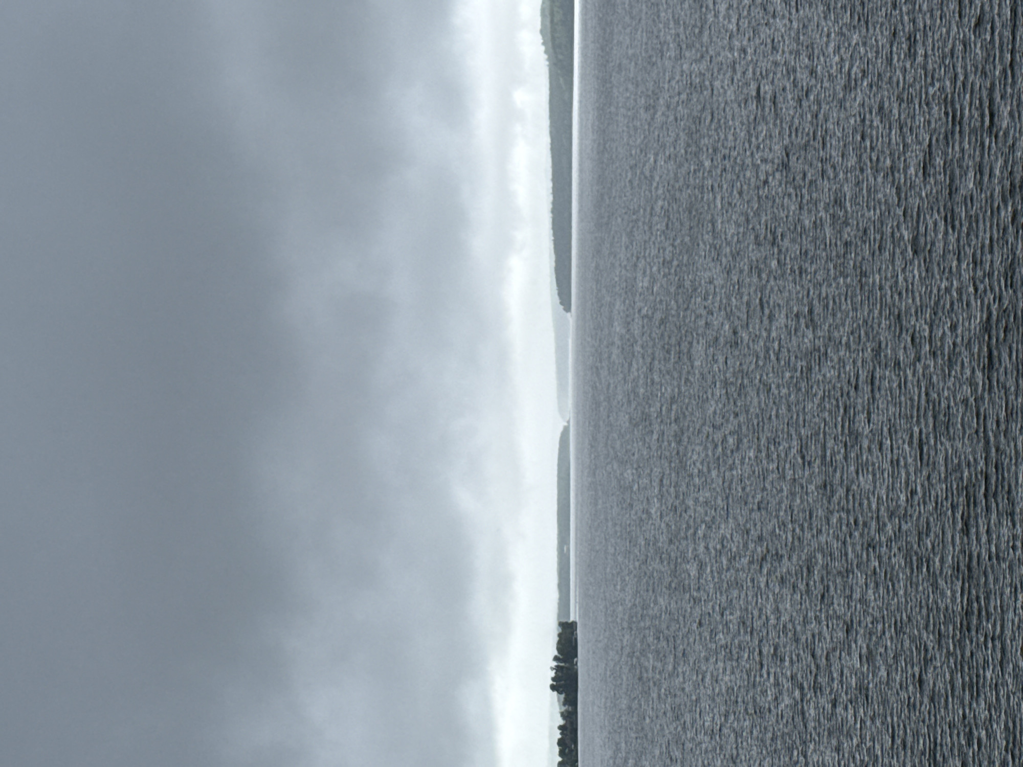 The image shows a landscape of a large body of water, likely a lake or reservoir, under an overcast sky. The water surface is textured with ripples. On the opposite shore, there is a strip of land with trees, suggesting a forested area. The sky is uniformly gray, indicating cloudy weather. The perspective suggests the photo was taken from a high vantage point, possibly near the edge of the water. Without more specific details or landmarks visible, determining the exact location in Votkinsk, Russia is difficult. Votkinsk is known for the Votkinsk Reservoir, so it is plausible the picture shows a section of it.