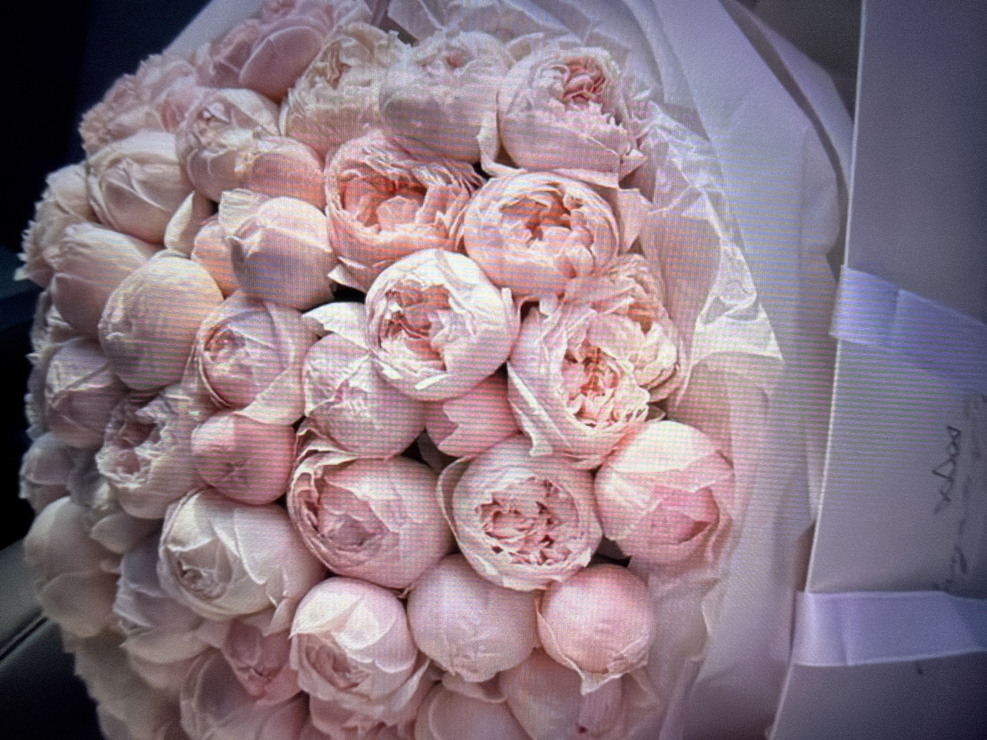 This media file features a close-up, overhead shot of a large bouquet of light pink roses. The roses are tightly packed together, with many buds and fully opened blooms visible. They are wrapped in translucent white paper, and a white box is partially visible in the lower right corner, suggesting the bouquet is a gift or part of an arrangement. The lighting is soft, and there are no strong shadows, indicating it might be an indoor setting or an overcast day. The image has a slightly blurry, pixelated quality. There is no visible text in the media file. The overall mood is delicate and romantic, emphasized by the soft colors and the abundance of roses. The setting appears to be Beșalma, Moldova, though no specific environmental cues in the image directly confirm this location. The focus is solely on the floral arrangement, with no people or other objects clearly depicted.
