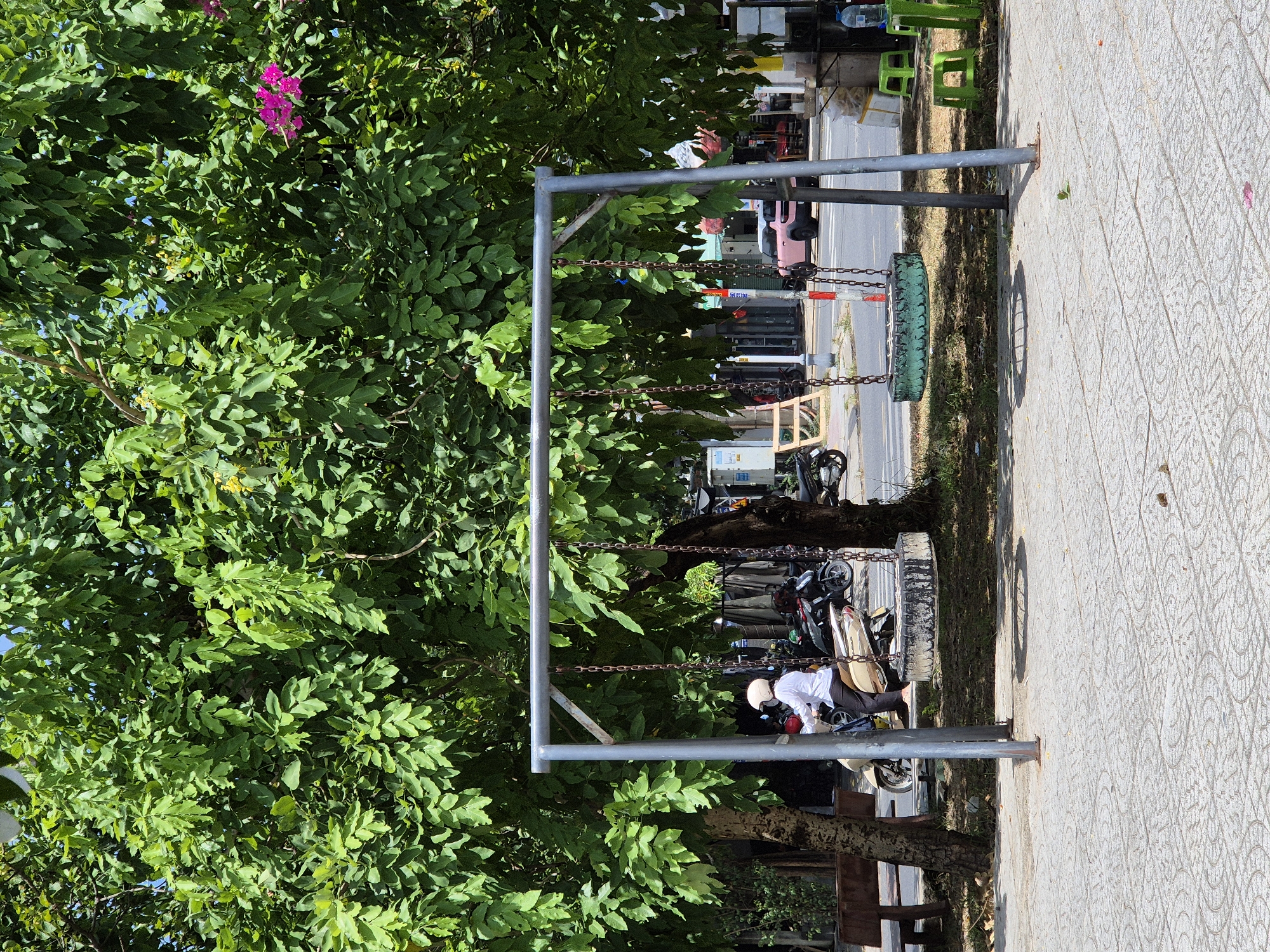 The image depicts a street scene in Da Nang, Vietnam, featuring a swing set made of metal poles and chains, with two tire swings. A person wearing a white shirt and helmet is seated on a beige scooter, partially obscured by the left swing. The scooter is parked on a paved walkway with a patterned design. In the background, a street is visible with several motorcycles and a pink car. Lush green trees with broad leaves overhang the scene, providing shade, and a few pink flowers are present on one of the trees. The environment suggests a sunny day in a public outdoor area, likely a park or along a street with pedestrian access.