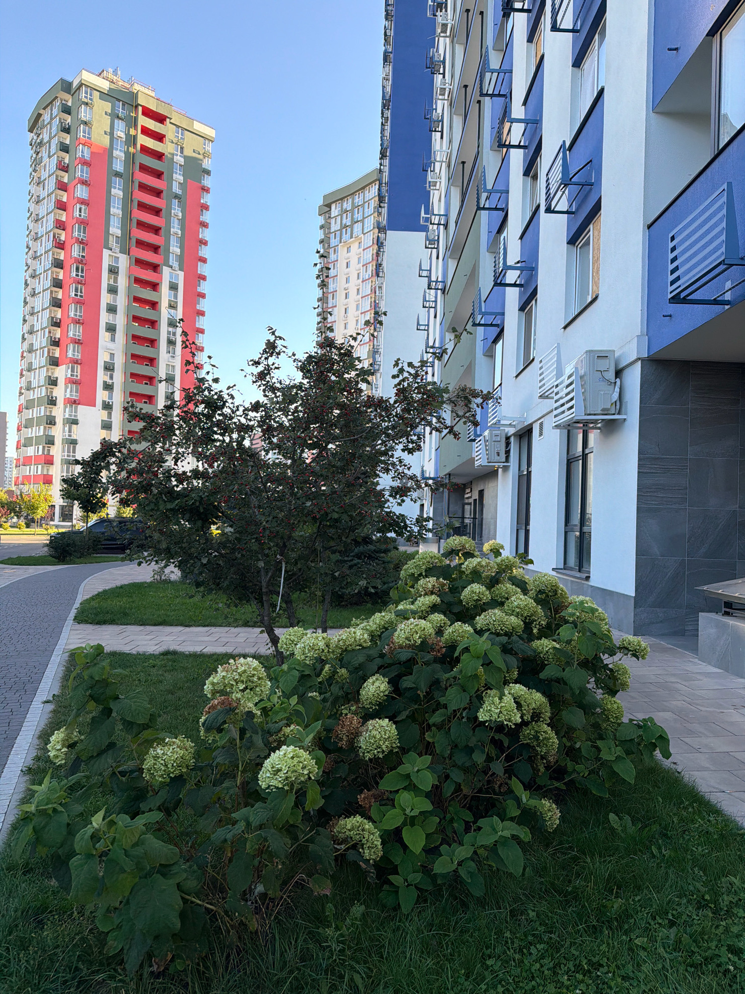 This is a photograph of the exterior of a modern residential complex in Kyiv, Ukraine. In the foreground, there are green bushes with light-colored flowers, likely hydrangeas, and a tree with red berries. A paved walkway runs along the side of the bushes. In the background, there are two tall apartment buildings. One building is predominantly red and green with white windows and balconies. The other building, to the right and closer, has a white and blue facade with numerous windows and air conditioning units visible on the exterior. The sky is clear and blue. The image appears to have been taken on a clear day.