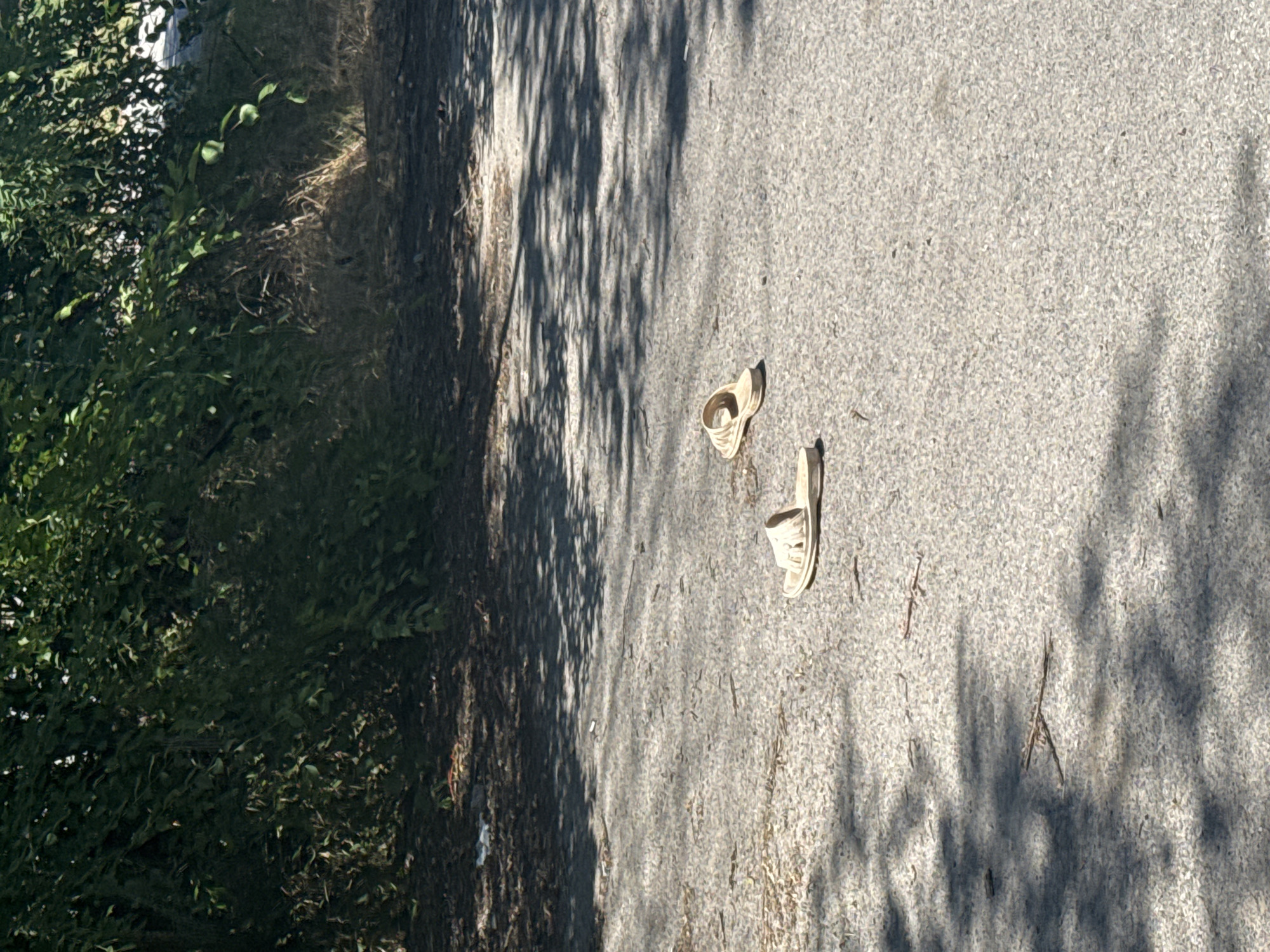 Two light-colored sandals are visible on an asphalt surface. One sandal is positioned on the left side of the image, and the other is further to the right. The surface is textured and appears to be a pathway or road. Behind the asphalt, a dense green bush line is present, with dry grass and debris visible at the edge of the foliage. Sunlight casts dappled shadows across the asphalt, indicating an outdoor environment during the day. No people or actions are depicted. The location is identified as Verkhneyanchenkov, Russia.