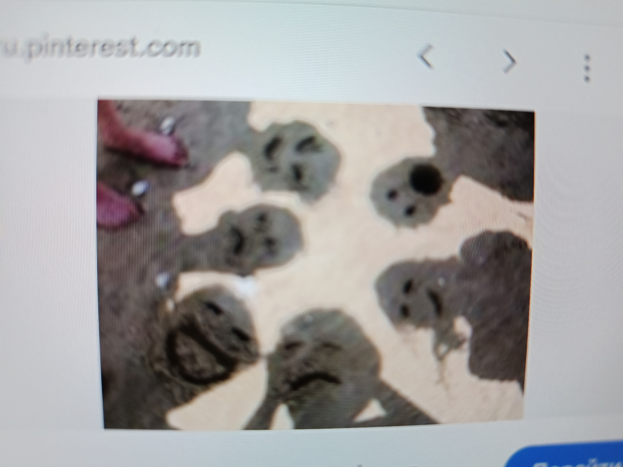 The image shows a screen display featuring a photograph of several figures made of what appears to be mud or clay, arranged in a circular pattern. These figures have distinctly shaped faces with eyes and mouths, suggesting a playful or artistic creation. The background of the photograph is a light, textured surface. The screen display also shows a website address "ru.pinterest.com" at the top left and navigation arrows. The image is a photograph of a screen, not the original scene itself. Therefore, it is not possible to determine the location in Tashkent, Uzbekistan, or any other specific geographical details.