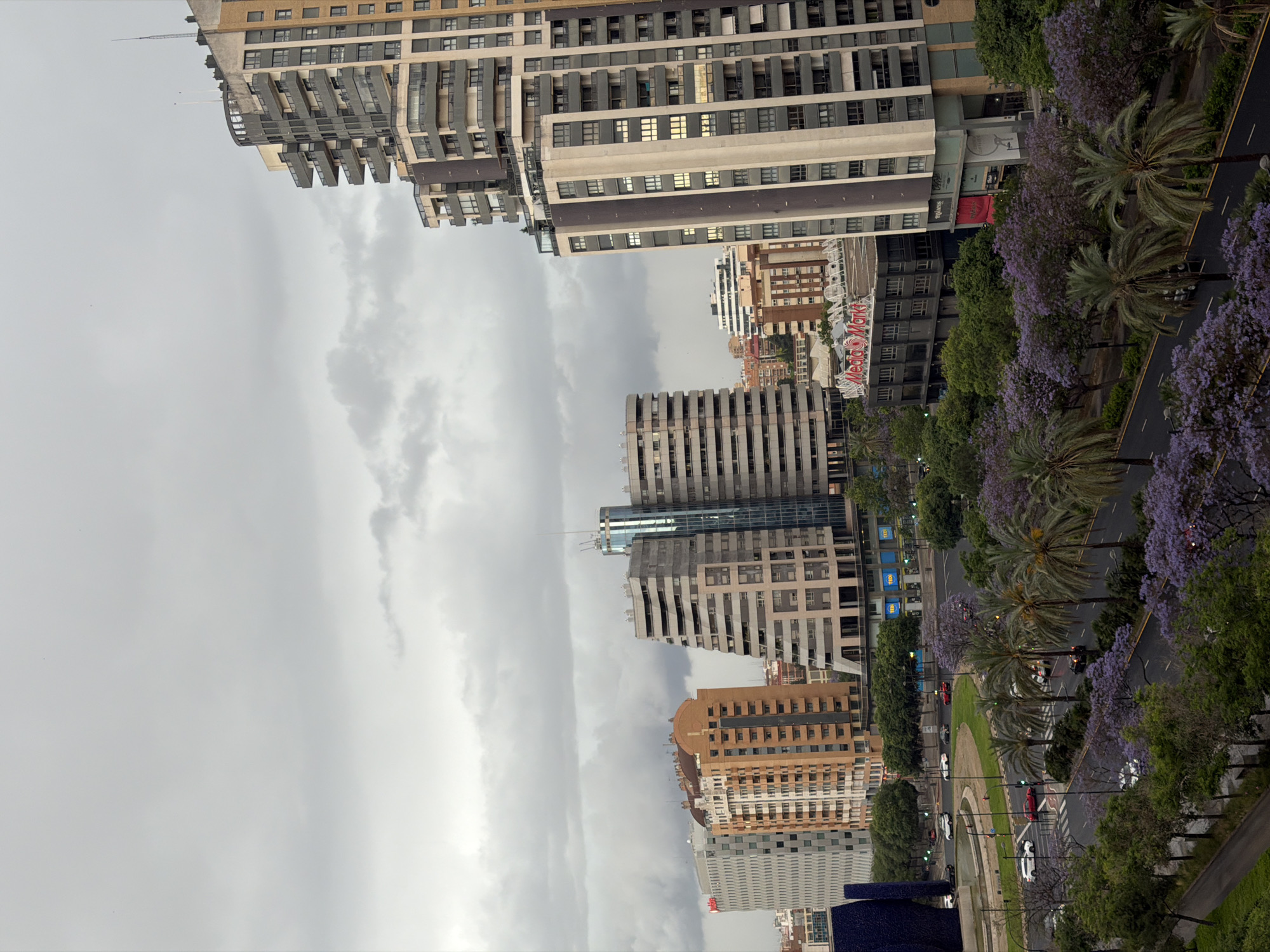 The image captures a cityscape in València, Spain, characterized by a blend of modern architecture and vibrant urban landscaping. Several high-rise buildings with distinct architectural styles dominate the skyline, including structures with cantilevered balconies, striped facades, and glass paneling. A prominent avenue is lined with trees, notably Jacaranda trees in bloom with their characteristic purple flowers, and palm trees, adding a splash of color to the urban scene. Cars can be seen on the road. The sky is overcast with a muted gray tone. The buildings are predominantly beige and gray, and the street is lined with greenery, creating a contrast. A "Media Markt" sign is visible on one of the buildings.