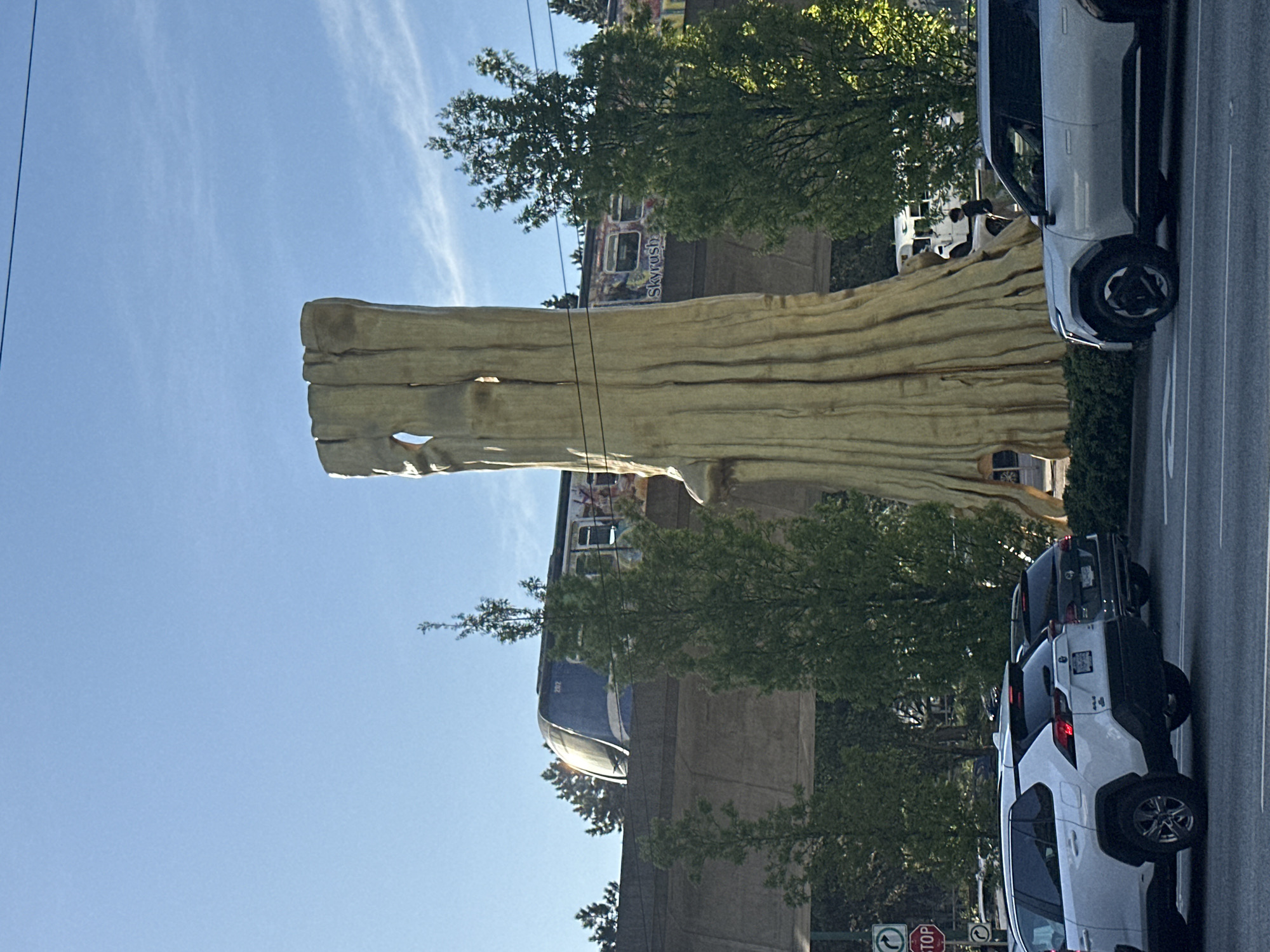 The image shows a large, sculpted tree trunk structure in Vancouver, Canada, adjacent to a SkyTrain line. The trunk is golden in color and features realistic wood grain detailing and several large openings. A SkyTrain car with the word "Skyrush" on its side is visible behind the trunk. Several cars are parked along the street on the right side of the image. The sky is blue with thin clouds. The scene is illuminated by bright sunlight.