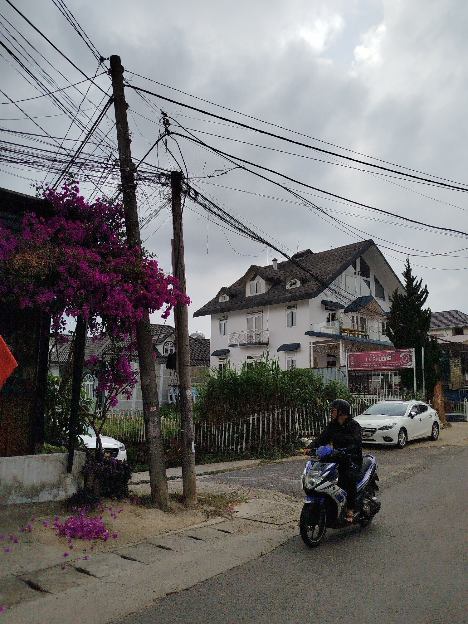The image presents a street scene in a residential area under an overcast sky. In the foreground, a person wearing a black helmet and jacket is riding a blue and white Yamaha scooter on an asphalt road, traveling towards the left.
To the left of the road, a concrete sidewalk and a low wall run parallel to the street. Behind this wall, a large bougainvillea tree bursts with vibrant purple flowers, with many petals having fallen onto the ground and sidewalk. Two wooden utility poles stand prominently on the left side, heavily burdened with a dense, chaotic network of overhead electrical and communication wires that crisscross the frame.
In the mid-ground, a large, multi-story white house with a distinctive dark, steeply pitched roof and dormer windows is visible. A white Mazda sedan is parked on the side of the road in front of this house. A red sign is attached to the fence of this property, bearing the text "Phuong Thao" and "LE PHUONG," with some smaller, less legible text beneath. Other residential buildings and lush green vegetation are visible further in the background.
The sky is uniformly cloudy, indicating an overcast day. The scene depicts a common street environment, likely in a city or town like Da Lat, Vietnam, characterized by its architecture, the scooter, and the prominent overhead utility lines. No specific emotions are conveyed; the image is a straightforward capture of daily life.