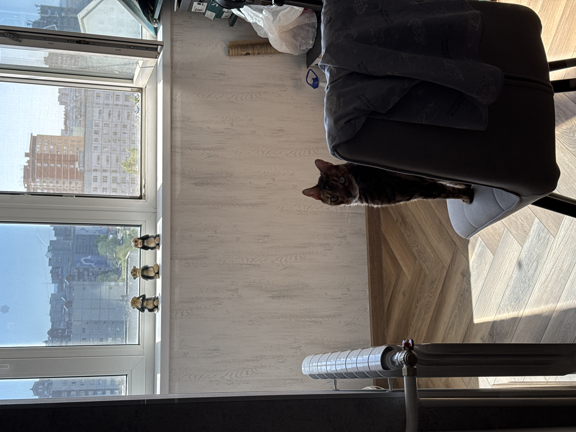 The image shows an indoor scene with a cat sitting under a chair, possibly resting or hiding. The cat is brown and appears to be looking towards the left of the frame. The chair is black with a gray cushion and has a gray clothing item draped over the top. A radiator is visible at the bottom of the image. In the background, there is a window with three small figurines, and buildings can be seen through the window, suggesting an urban environment. The lighting indicates daytime.