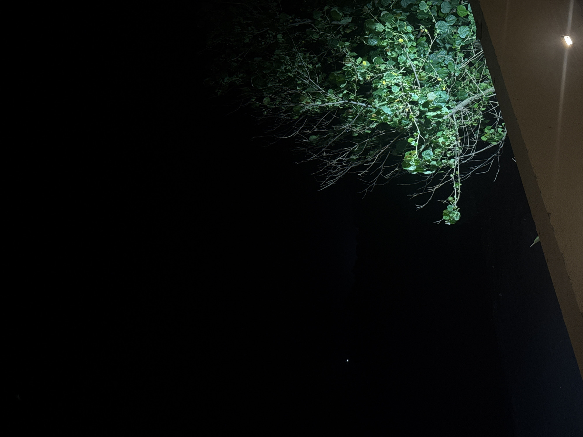 The image captures a dark, outdoor night scene. In the upper right portion, a tree with vibrant green foliage and numerous thin, mostly bare branches is visible. The leaves are brightly illuminated, appearing in shades of green and yellowish-green, suggesting an artificial light source is directed towards them from above. The branches extend downwards and towards the left, gradually disappearing into the deep black background.
On the far right side, a section of a light-colored, possibly beige or off-white, vertical structure resembling a wall or pillar is present. Attached to this structure in the upper right corner is a small, rectangular light fixture, which emits a warm, bright glow.
The vast majority of the image, encompassing the left and lower areas, is consumed by darkness, emphasizing the nighttime setting. A tiny, faint white dot can be observed in the lower-center of the dark expanse, though its identity is ambiguous. There are no discernible people, activities, or visible text in the image. The scene is static, highlighting the contrast between the artificially lit tree and structure against the prevailing darkness.