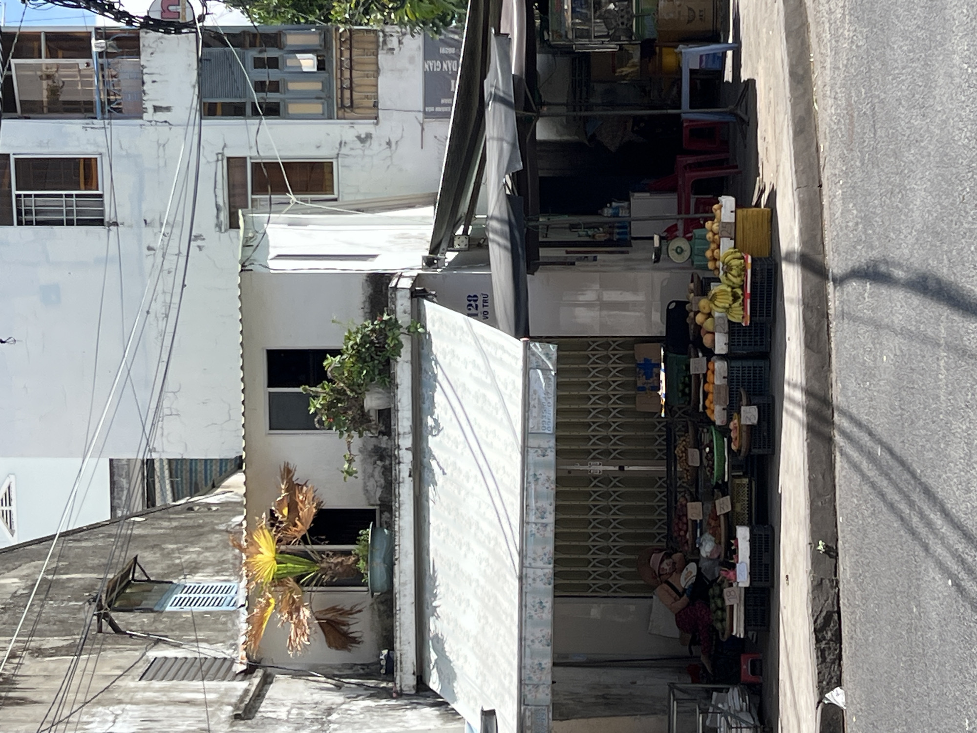 A street-level, eye-level, wide shot captures a fruit stand in front of a multi-story building on a sunny day. The scene appears to be in Nha Trang Ward, Vietnam. The building's facade is a mix of weathered concrete and white painted sections, with exposed electrical wires crisscrossing above. A palm tree with brown, dry fronds grows in a pot on a ledge outside a second-floor window.
Below, a white awning extends over the fruit stand, which is set up along the sidewalk. A metal gate is visible behind the awning. Various fruits are displayed in crates on the ground, including bananas, oranges, and what appear to be avocados and other green produce. A woman, wearing a hat and leaning against a pile of sacks or cushions, is partially visible lying down behind the fruit display. She appears to be resting or sleeping.
To the right of the fruit stand, a darker awning covers a seating area with red plastic chairs. Behind this, a metal rack and some cardboard boxes are visible. The street in the foreground is asphalt, with visible shadows from overhead wires and trees. A discarded piece of white paper lies on the curb.