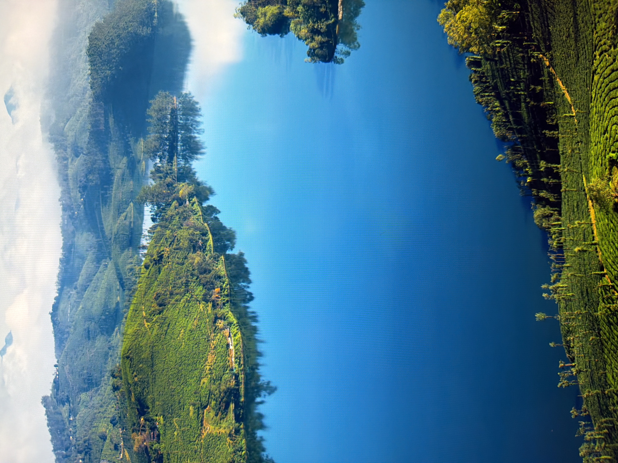 This is a vertical, high-angle aerial photograph of a vast, calm, deep blue lake, likely a reservoir. The lake fills the majority of the frame. Along the left and bottom edges of the lake, lush green, terraced hillsides are visible, covered with tea plantations. Numerous tall, slender trees are scattered throughout the tea fields. The hillsides slope gently down to the water's edge. In the background, across the lake, are more rolling hills covered with dense vegetation, appearing as a rich green carpet. Some of these hills are partially obscured by a light mist or clouds, with the distant peaks of more misty mountains visible further back. The sky above is bright white with faint cloud formations. The scene conveys a sense of natural beauty and tranquility. The image does not depict any people, structures, or urban elements, and is therefore not located in the city of Kyiv, Ukraine.