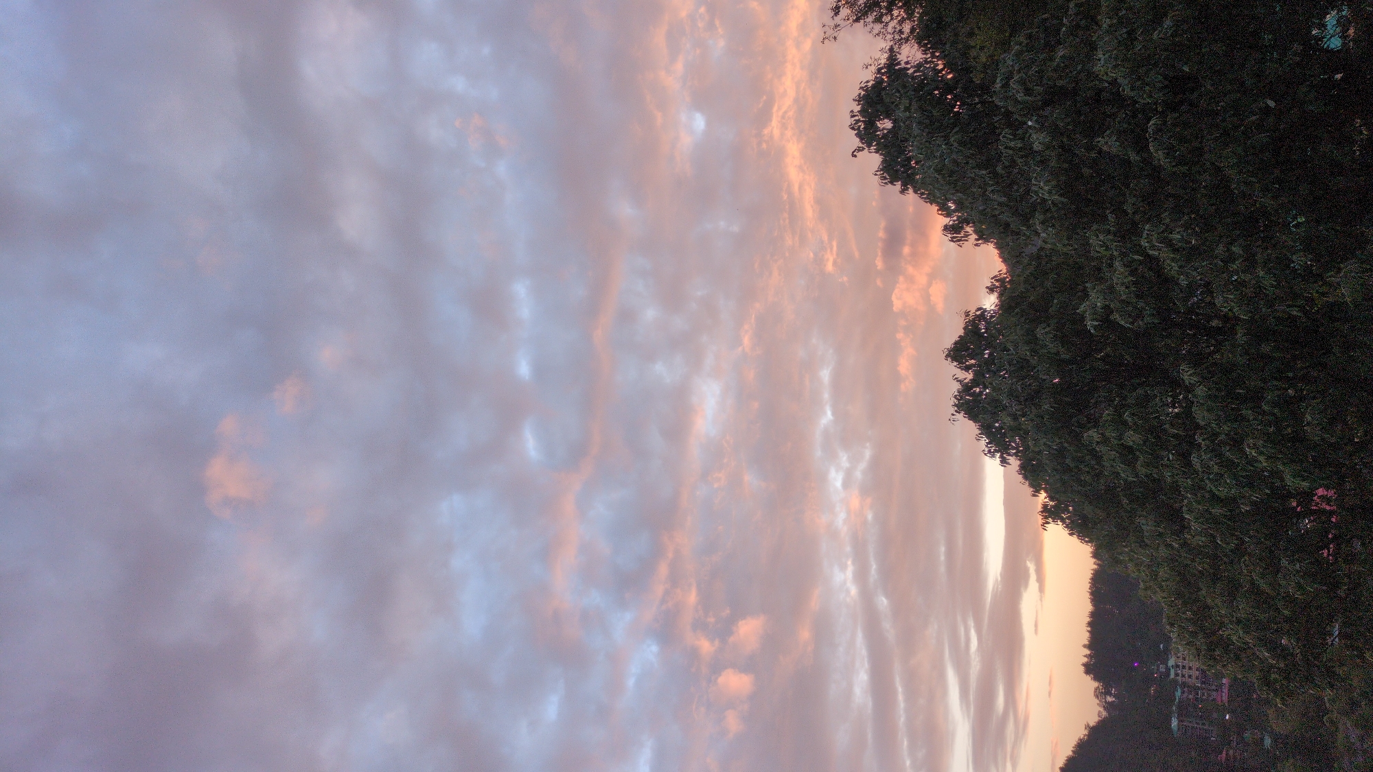 This image captures a serene natural landscape at either sunrise or sunset, characterized by a dramatic sky and a dense tree line, set in Haini, India.
The sky dominates the upper and left portions of the frame, filled with soft, textured clouds. These clouds display a beautiful gradient of colors, transitioning from delicate pinks and warm oranges on the right, where the sun's influence is strongest, to cooler shades of blue and purple on the left. The varying tones and cloud formations create a tranquil and atmospheric backdrop.
On the right side of the image, a lush, dark green canopy of trees forms a prominent diagonal line. The foliage is dense, suggesting a forest or a heavily wooded area, and appears silhouetted against the bright sky, emphasizing its dark texture. Below and beyond this tree line, along the horizon, faint outlines of hills or mountains are visible. Nestled within this distant landscape are several scattered buildings, some of which exhibit small, glowing lights, indicating human settlement in the area.
There is no specific activity or event taking place, and no people are visible. The image focuses purely on the natural beauty of the environment during a transitional time of day. No visible text is present. The overall mood is peaceful and contemplative, highlighting the quiet majesty of nature.