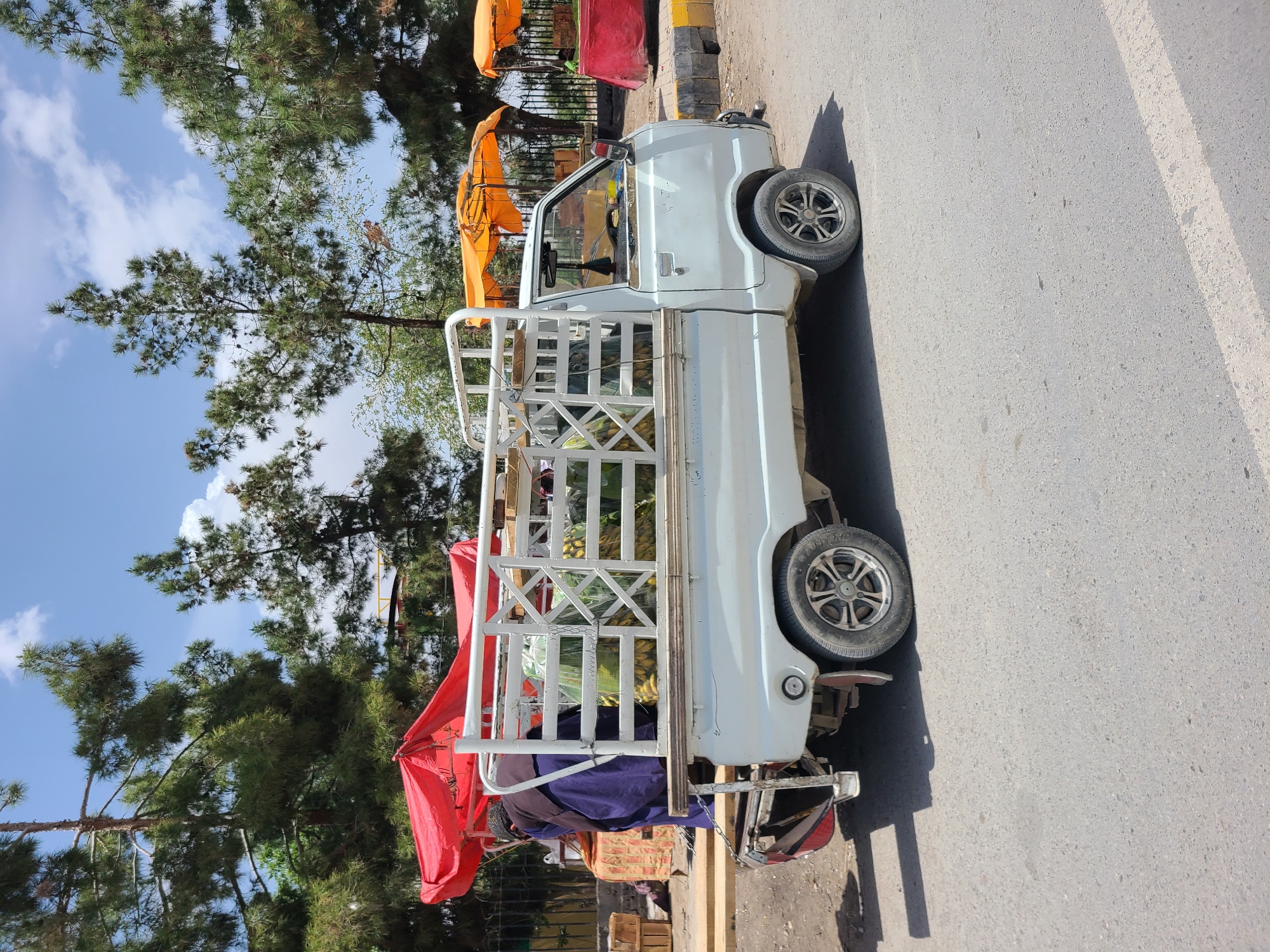 A light-colored, small utility truck, possibly white or light blue, is parked on the side of an asphalt road in what appears to be a market or vending area in Quetta City Tehsil, Pakistan. The truck features a caged cargo bed, heavily laden with produce, most notably bunches of yellow bananas. A vibrant red canopy or awning extends from the rear of the truck, offering shade.
The scene is set outdoors under a bright blue sky dotted with scattered white clouds, indicating a clear, sunny day. Large green trees, identifiable by their needle-like leaves and cones, line the background. Further in the background, other orange umbrellas or canopies suggest additional market stalls or vendors. The road surface has a visible white line, and a curb painted with yellow and black stripes is present alongside the truck. The image captures a snapshot of daily life, likely involving street vending or the transport of goods in a bustling, semi-urban environment. No discernible text is clearly visible.
