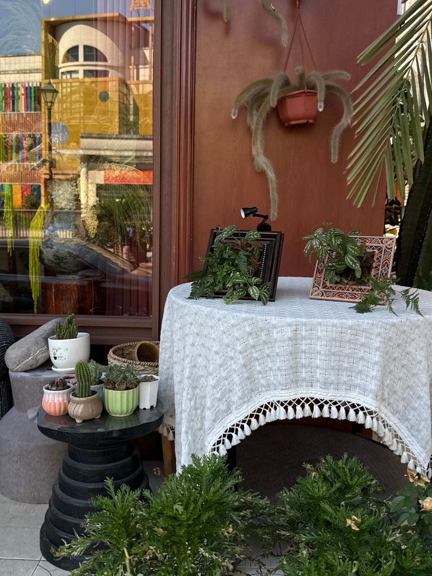 The image depicts an outdoor scene, possibly a storefront or patio, with a focus on plants and decorative items. In the foreground, several potted plants, including cacti and succulents, are arranged on a tiered black stand. A large round table is covered with a white, textured tablecloth that drapes down and features a tasseled fringe. On the table, two framed botanical displays are visible. To the left, a large window reflects the buildings and street scene outside, showing colorful displays and architectural elements. Above the table, a hanging plant with fuzzy tendrils is suspended from the wall. The environment suggests a decorative or commercial setting, with an emphasis on lush greenery and handcrafted elements. There are no people visible in the image.