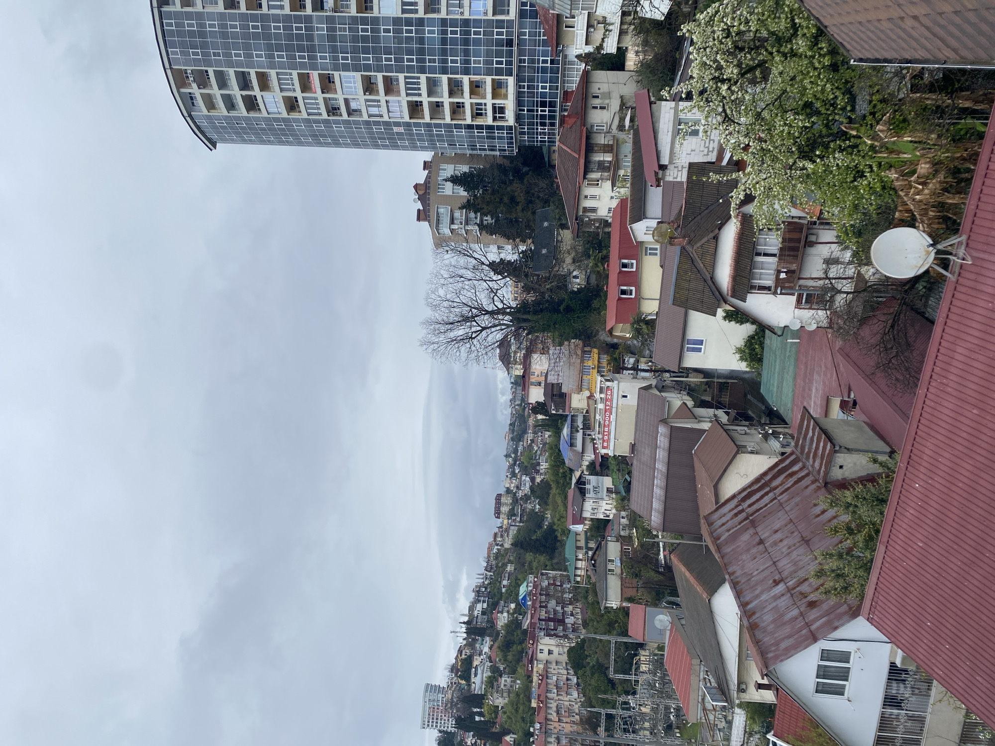 The image shows a cityscape of Sochi, Russia, taken from an elevated perspective. A tall, curved apartment building with a grid-like facade stands on the left side. In the middle ground, a dense collection of buildings with red, brown, and white roofs cascades down a slope, interspersed with trees, with more dense buildings in the distance. Power lines are visible in the foreground. The sky is overcast and gray. A bare tree stands prominently amidst the built environment. A satellite dish sits atop one of the roofs.