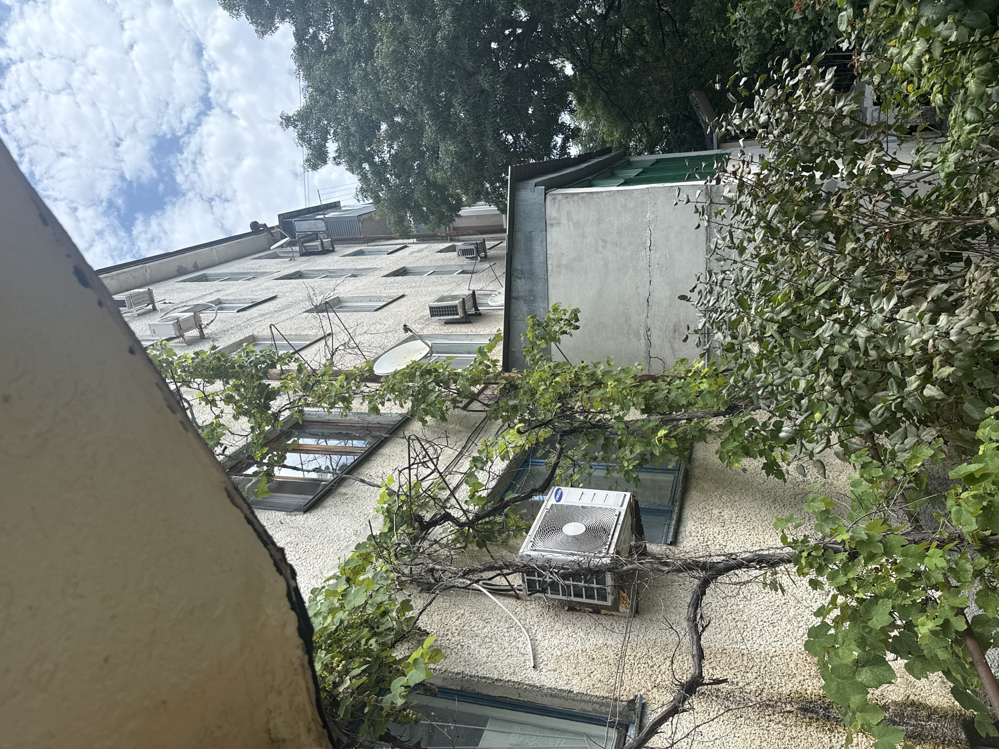 The image shows the exterior of a multi-story building with a rough, textured facade, possibly an apartment block, in Novorossiysk, Russia. Green vines and leafy branches are growing up the side of the building, partially obscuring several windows and an air conditioning unit mounted on the wall. Another air conditioning unit is visible higher up on the building. A satellite dish is attached to the facade near a window. In the background, a large, dense green tree dominates the right side of the frame, and a glimpse of a cloudy sky is visible above. A concrete structure with a metal roof extends from the building in the mid-ground. The scene appears to be a typical urban environment with a blend of man-made structures and overgrown vegetation.
