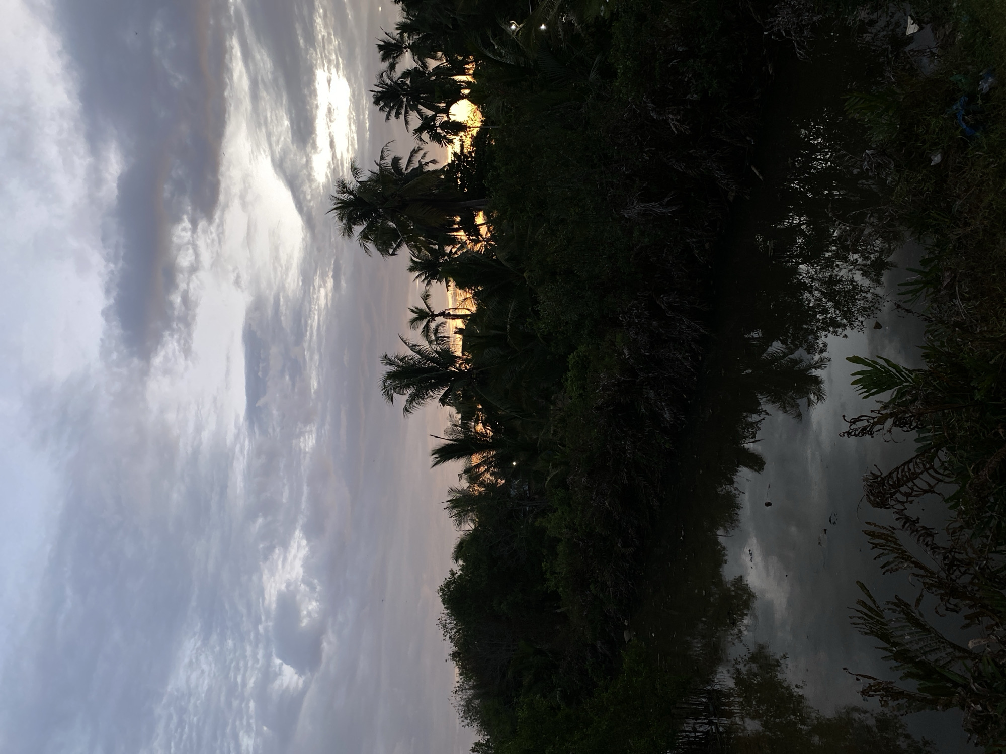 The image shows a view from Tanjongkapai, Indonesia. The sky is filled with grey and white clouds. Silhouetted palm trees stand in the foreground, with the sun visible between their fronds. The vegetation reflects in the dark water in the lower part of the frame.