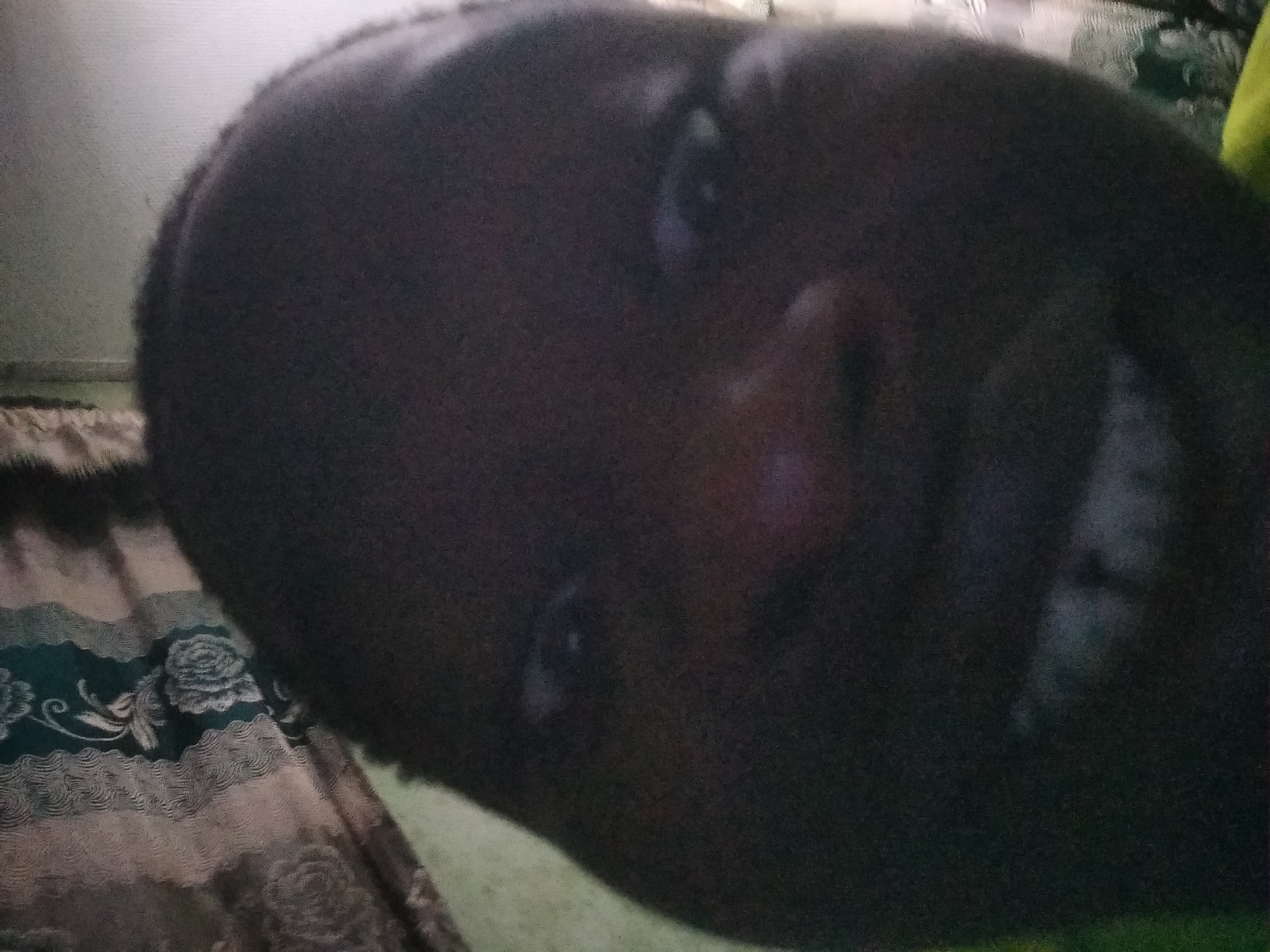 A close-up, slightly angled selfie of a person with dark skin. The person's face occupies most of the frame, with the nose and one eye clearly visible. Part of a smile reveals teeth. The background includes a patterned curtain with floral designs on the left side and a green object on the right. There's insufficient information to determine the specific location within Shangisha, Nigeria.