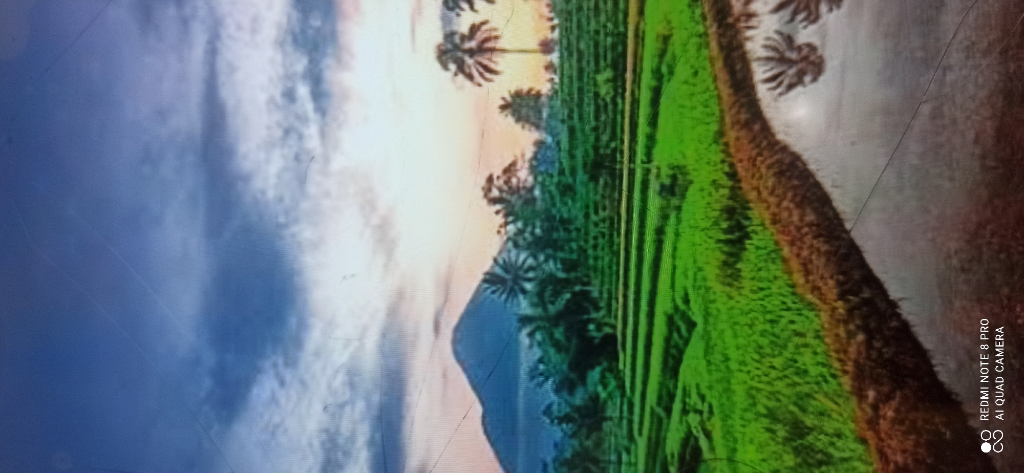 This is a landscape image taken in Sedati Agung, Indonesia. The scene depicts a terraced rice field in the foreground, with lush green crops. A body of water, likely an irrigation canal or paddy, runs along the edge of the fields, reflecting the surrounding palm trees and sky. In the mid-ground, there are more terraces and various types of trees, including prominent palm trees. A mountain looms in the background, silhouetted against a sky with soft clouds and the warm hues of either sunrise or sunset, suggesting a twilight atmosphere. The image also shows some minor scratches on the surface of the display it was captured on, and text in the lower left corner indicates it was taken with a "REDMI NOTE 8 PRO AI QUAD CAMERA". There are no people visible in the image.