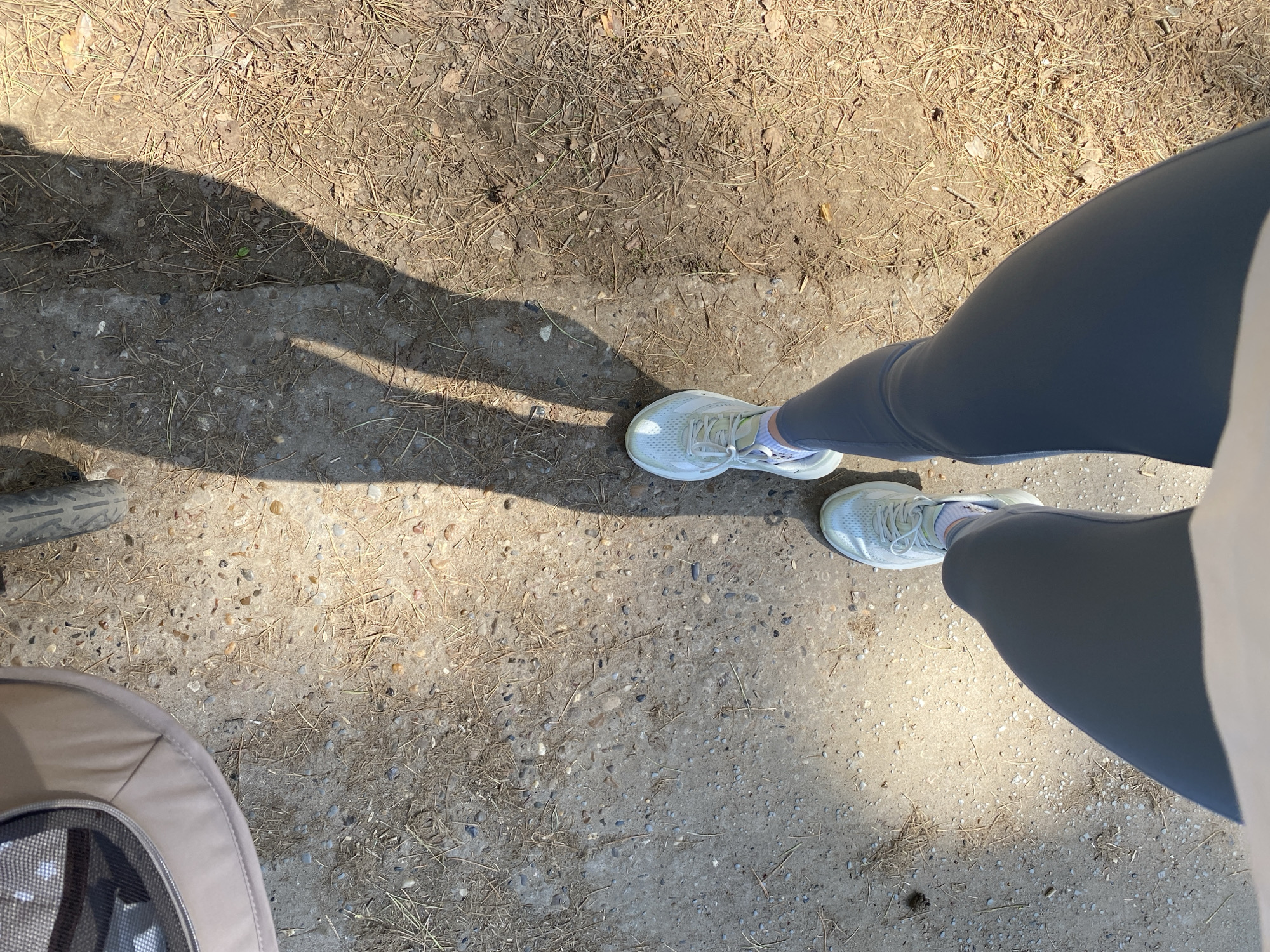 A first-person perspective image depicts the lower portion of a person standing outdoors on a dirt and pebble ground. The person is wearing gray leggings and white running shoes. The ground is partially covered with dried pine needles and small rocks. To the left of the frame is a portion of a beige stroller. A shadow is cast across the ground. The location is in a park of the city of Chaikovsky, Russia.