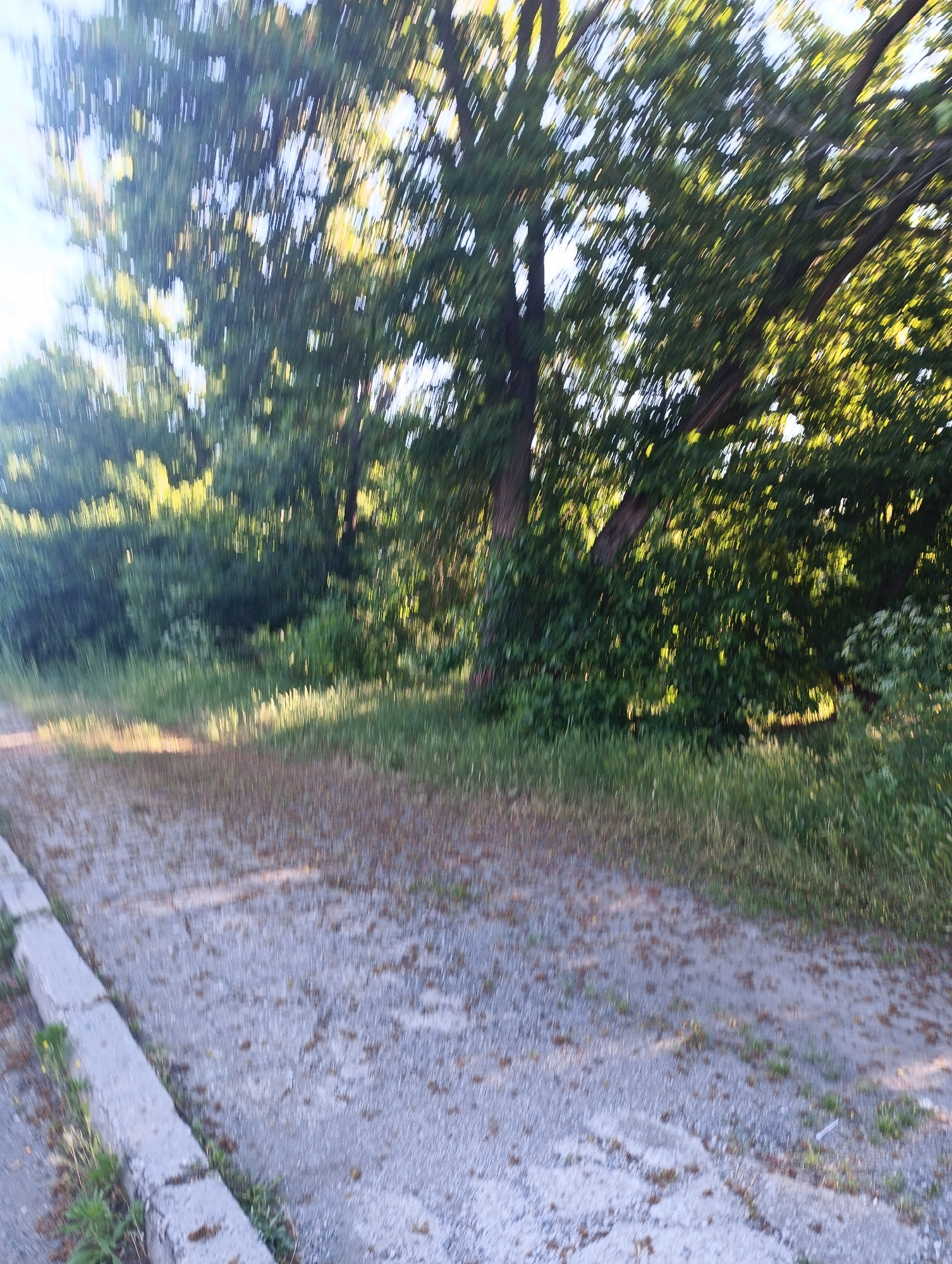 The image depicts a blurry outdoor scene with a path made of gravel and concrete. To the left of the path is a concrete curb with some vegetation growing alongside it. The background features dense green foliage and trees, with sunlight filtering through the leaves, creating dappled lighting. The overall impression is a natural environment, possibly a park or a wooded area. The image's location is identified as Karnobat, Bulgaria.