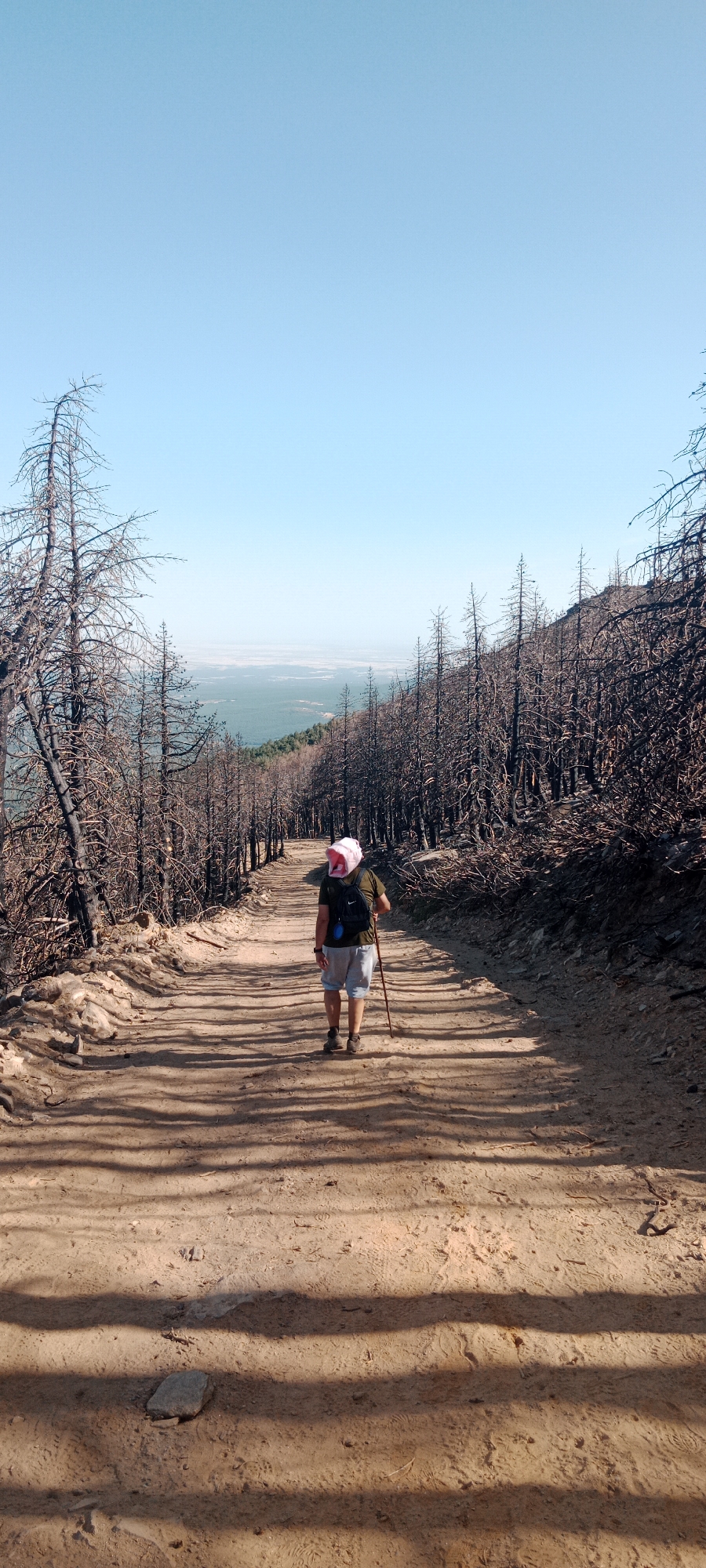 A person, viewed from behind, walks along a dirt path through a landscape of burnt trees. The person is wearing a green t-shirt, light-colored shorts, a backpack, and a pink head covering. They are carrying a walking stick. The path is wide and sandy, with shadows cast by the trees. The trees themselves are skeletal, their branches bare and blackened. The background shows a hazy landscape with a clear blue sky above. This scene is located in the municipality of Cerezo de Arriba, Spain.