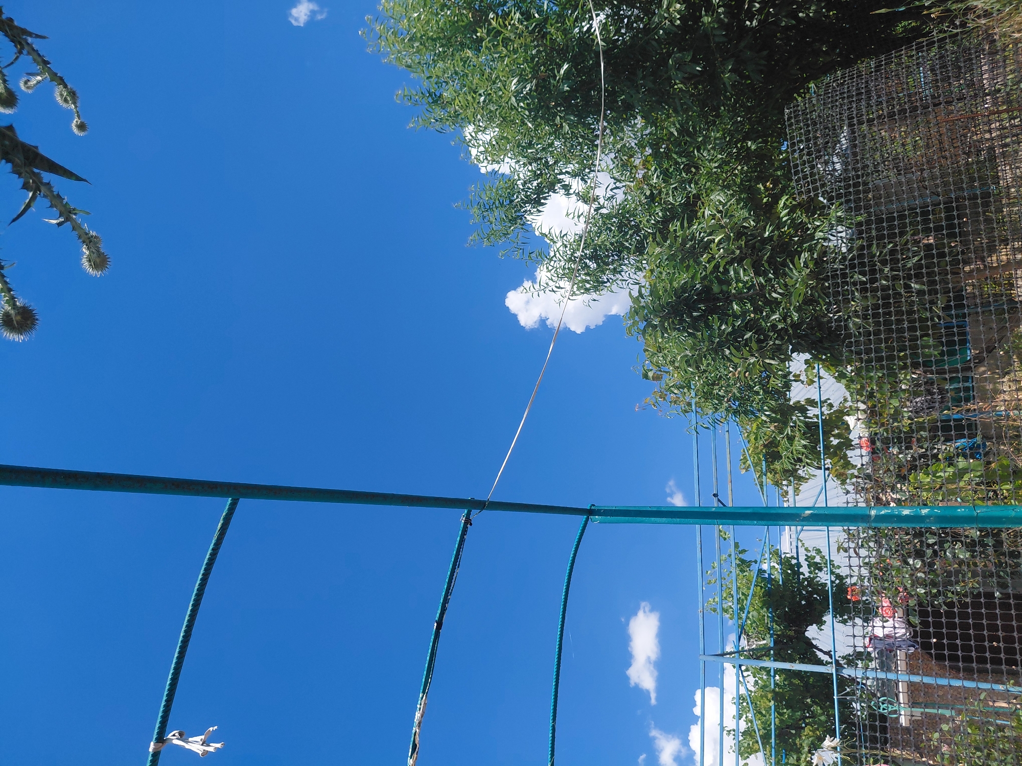 In Marynivka, Ukraine, a clear blue sky with scattered clouds forms the backdrop of an outdoor scene. In the foreground, a teal-colored metal structure, possibly a garden trellis or frame, dominates the left side of the image. A thick, green rope is stretched horizontally across this structure, secured with what appears to be white tape. Further down, another green rope curves, also part of the structure. Behind this framework, a dense, leafy green tree occupies the right side of the frame. Its branches extend towards the center, partially obscuring the sky and a few white clouds. Below the tree and structure, a dark, wire mesh fence encloses an area. Through the fence, glimpses of vegetation, including rose bushes with pink and white blooms, can be seen, along with what appears to be laundry hanging on a line. The overall impression is of a garden or yard on a sunny day.