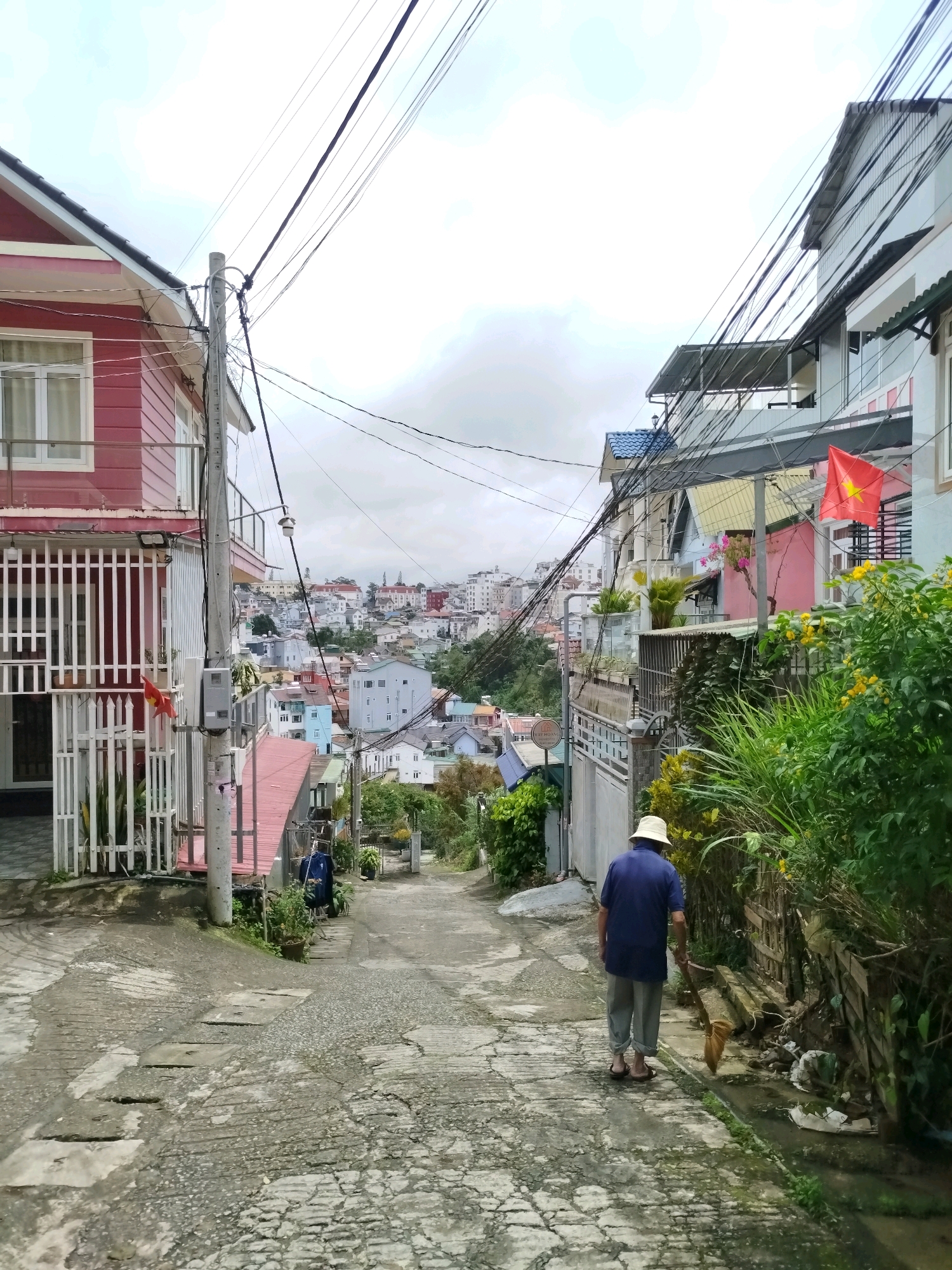 The image depicts a narrow, sloping street in Da Lat, Vietnam, lined with multi-story buildings of varying architectural styles and colors. Overhead, a dense network of power lines crisscrosses the sky. On the left, a predominantly pink house with white trim and a white fence is prominent. On the right, a man wearing a blue short-sleeved shirt, light gray pants, and a wide-brimmed hat walks away from the viewer down the street, holding a broom and seemingly sweeping or tending to something near the curb. He is barefoot or wearing sandals. A small, light-colored animal, possibly a cat or small dog, is walking just ahead of him. Lush green vegetation, including tall grasses and flowering bushes with yellow blooms, grows along the right side of the street. In the background, a densely populated hillside with numerous buildings stretches into the distance under an overcast sky. A Vietnamese flag is visible on a building to the right. The street surface is paved with concrete and appears somewhat worn and cracked.