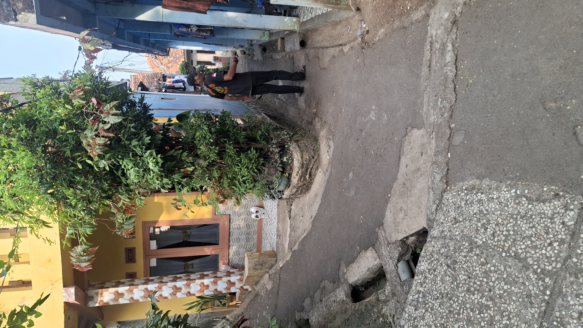 The image depicts a narrow, paved alleyway in Cilaku, Indonesia, flanked by buildings on either side. On the left, a yellow house with decorative pillars and brown-framed windows is visible. A lush green tree with reddish-tinged leaves stands prominently in front of this house. To the right, a blue-painted building with laundry hanging outside is observed. A man wearing a black t-shirt with a graphic design and black pants is walking away from the viewer down the alley. The ground is a mix of asphalt and concrete, with evidence of wear and tear, including a drainage ditch with a pipe. The overall scene suggests a residential area with everyday life occurring.