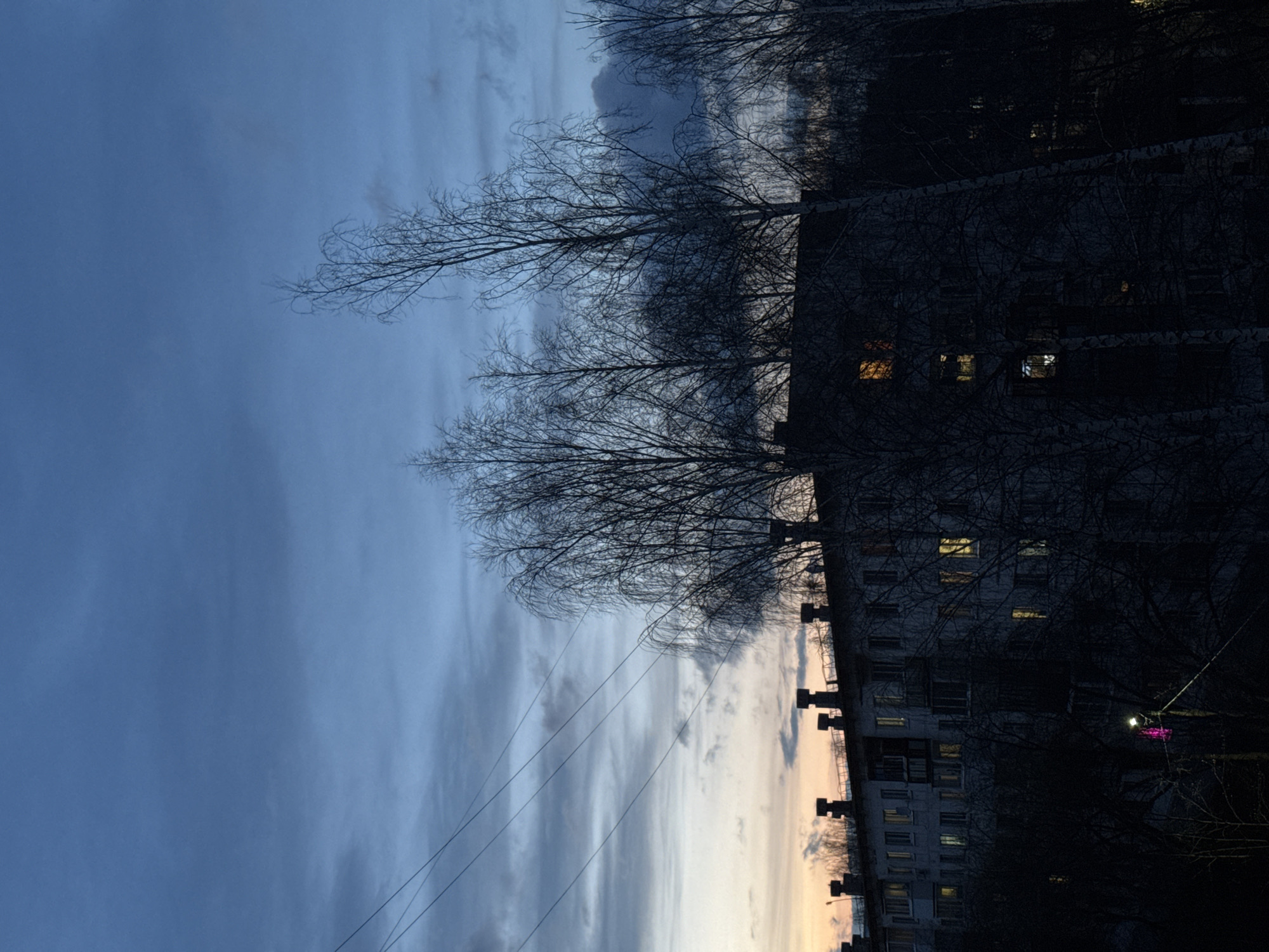 The image displays an urban twilight scene in Chaikovsky, Russia. The sky, taking up the left and upper portions of the frame, transitions from a deep, muted blue at its zenith to lighter blues and grays, with faint streaks of pale yellow or orange closer to the horizon, indicating the end of sunset. Streaky clouds are visible across the sky. Several thin power lines traverse the upper left quadrant.
In the midground and foreground, dark, multi-story residential buildings, likely apartment blocks, stand prominently. They are mostly silhouetted, but numerous windows glow with warm, yellow light, suggesting interiors are lit. The architecture appears functional and somewhat stark.
Bare deciduous trees with dense, intricate networks of leafless branches are silhouetted against the sky and stand in front of the buildings. Their appearance suggests a late autumn, winter, or early spring setting. A single, distinct light source, possibly a streetlamp, emits a vivid magenta glow in the lower right portion of the image, piercing the somber tones.
No people are visible, and no specific activity is occurring. The scene captures a quiet, static moment of an urban landscape at dusk. The overall atmosphere is serene and somewhat contemplative. There is no visible text in the image.