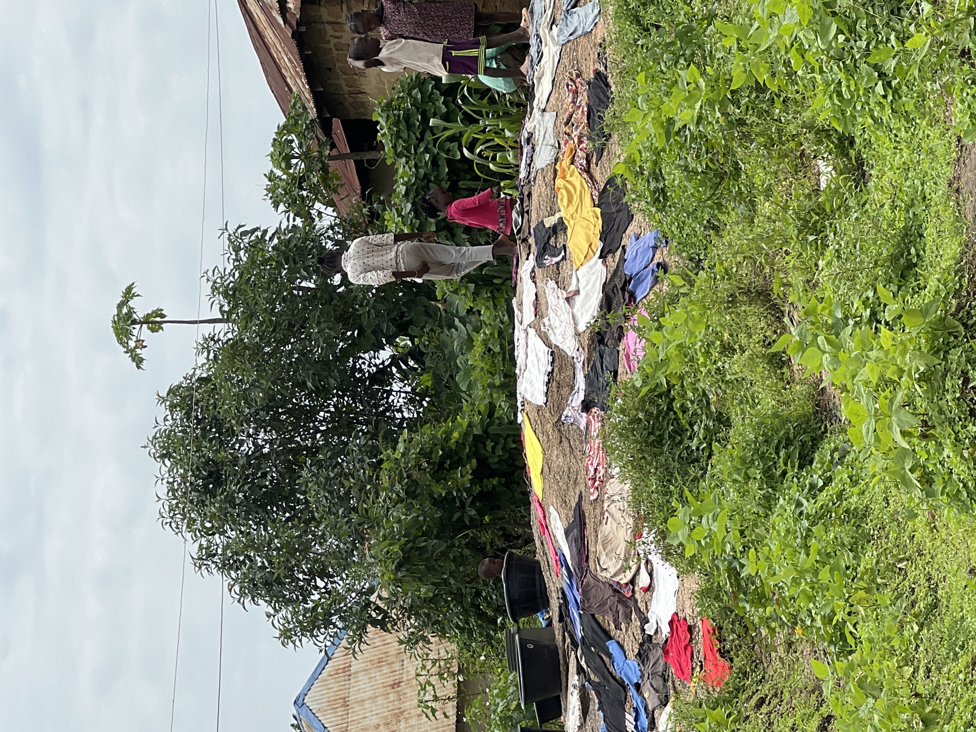 The image depicts a scene in Dong, Nigeria, where laundry is being dried on a large, rocky surface. Several children and one adult are present. An adult, dressed in a light-colored shirt and grey pants, walks away from the camera. A young girl in a pink top and dark skirt is near the center of the frame, appearing to interact with the drying clothes. To the right, three children, two girls and a boy, stand and observe. The younger children are dressed in colorful clothing, while the boy wears a white shirt and purple shorts. The rocky area is covered with a variety of clothing, including t-shirts, pants, and other garments in different colors and patterns. Two large black buckets are situated behind the rocky drying area. The background features lush green vegetation, including trees and plants, with a portion of a tin-roofed building visible to the right. The sky is overcast. The overall setting appears to be an outdoor residential area in a rural or semi-rural location.