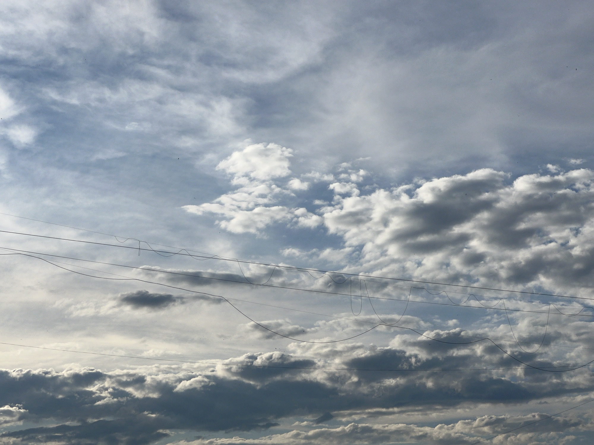 The image shows a sky filled with a variety of clouds. There are thin, wispy cirrus clouds intermixed with denser cumulus clouds that range in color from white to dark gray. Several telephone or power lines stretch across the middle of the frame. Some wires sag more prominently than others. There is no discernible location visible in the image to identify the city or area. No people, subjects, or objects other than those mentioned are visible. There are no evident actions or interactions occurring in the frame.