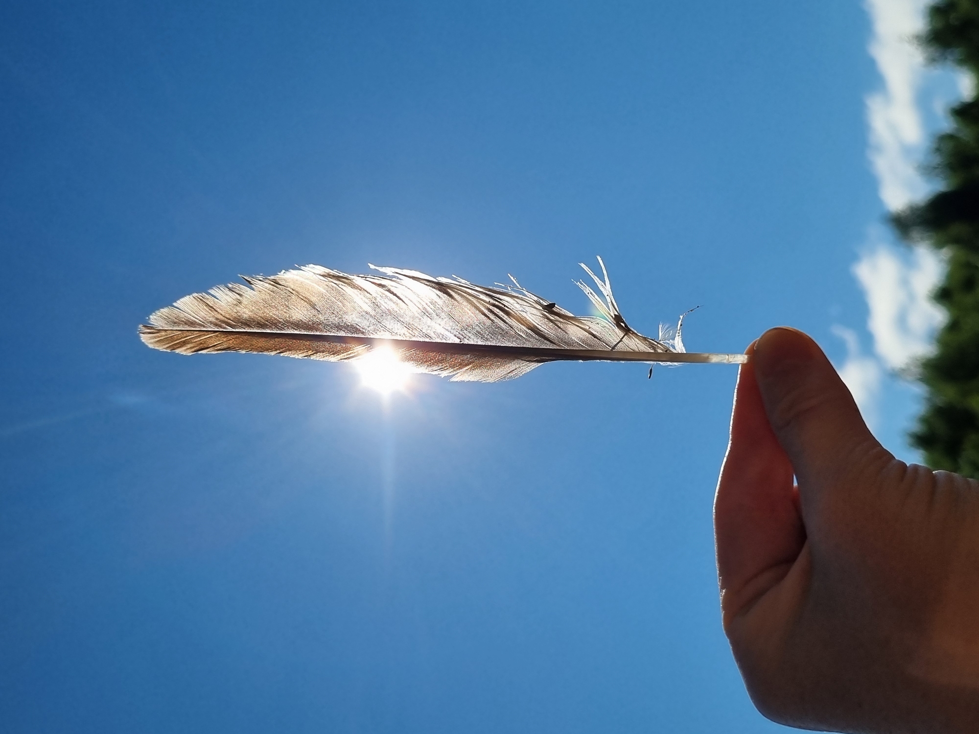 A hand holds a light brown feather against a clear blue sky. The sun is shining brightly behind the feather, creating a lens flare effect and illuminating the feather's delicate structure. In the background, a blurred line of dark green trees is visible at the bottom of the frame, suggesting an outdoor environment. The image was taken in Kemul, Russia.