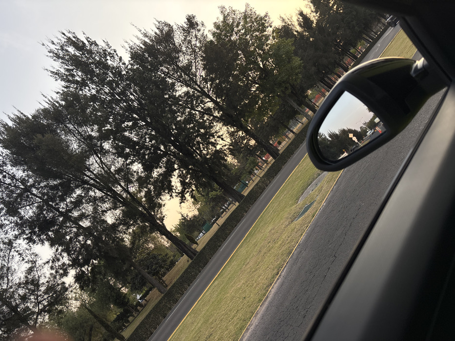 The image displays an outdoor scene in San Andrés Cholula, Mexico, captured from the interior of a vehicle. The perspective is tilted diagonally upwards from left to right.
In the immediate foreground, the dark gray or black interior trim of a car door and window frame is visible along the bottom and lower-left edge. A black passenger-side rearview mirror occupies the lower-right portion, reflecting a section of the road behind the vehicle. This reflection includes a pale sky, a distant white vehicle (possibly a van or truck), and at least two yellow diamond-shaped road signs mounted on poles along the roadside.
The main view outside the vehicle features an asphalt road surface with minor cracks, running diagonally from the lower-left to the upper-right. A distinct yellow line borders the road, separating it from a strip of well-maintained green grass. Beyond this grass strip, a dense, low hedge forms a boundary, behind which lies a broader expanse of green lawn. Numerous tall, dark-foliaged trees, primarily coniferous, are scattered across the midground and background, their branches reaching towards the sky. The sky transitions from a soft pale yellow-orange near the horizon to a lighter blue-gray overhead, indicative of late afternoon or early evening lighting. No individuals are directly visible in the primary scene; however, other vehicles are reflected in the side mirror.