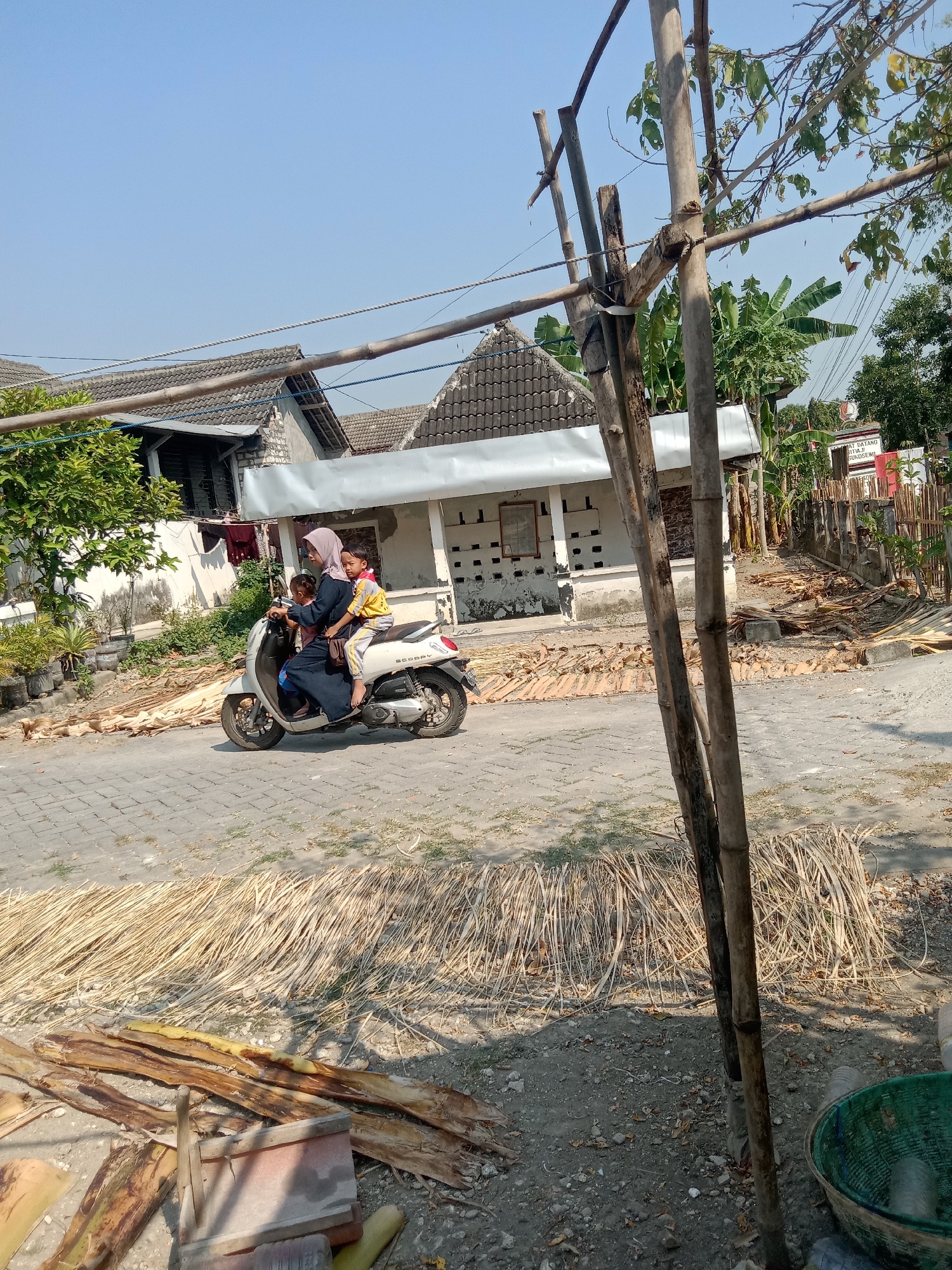 In the city of Stiaji, Indonesia, a family rides a white scooter down a paved street lined with houses and trees. The mother, wearing a hijab, drives the scooter with two children seated behind her. A young boy in a yellow shirt and a younger child in a blue outfit are the passengers. The street is partially covered with dried palm fronds, and several wooden poles stand vertically on the side of the road. In the background, a house with a tiled roof and white walls is visible. The sky is clear and blue.