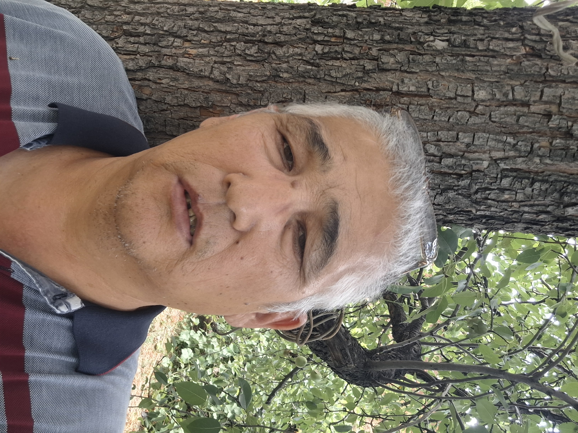 A middle-aged man with grey hair is pictured in a close-up, outdoor selfie. He is leaning against a tree trunk, which occupies the left side of the frame. The tree has rough, textured bark. Behind the man, branches and green leaves from a tree are visible, suggesting a park or natural setting. The man is wearing a polo shirt with a grey and red striped pattern and a dark blue collar. His facial expression is neutral. The lighting suggests it is daytime. The context of Almaty, Kazakhstan is not visually discernible from the image itself.