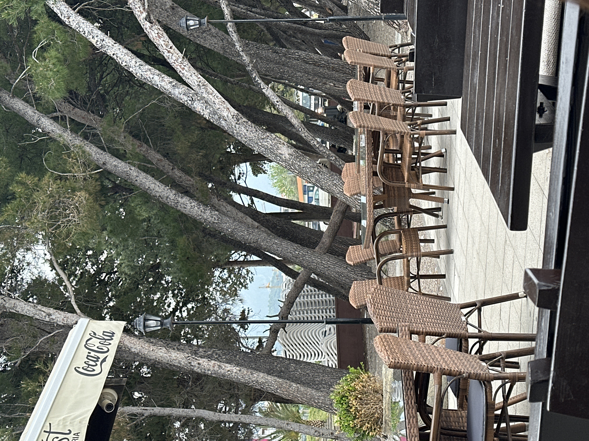 The image captures a view from a cafe or restaurant in Šušanj, Montenegro. The perspective looks out from under a dark brown wooden awning over a row of empty outdoor dining tables and chairs with wicker seats and backs. The chairs are light brown in color. The foreground is dominated by the furniture and a glimpse of tiled flooring.
The background features a dense row of tall trees with light-colored bark, their branches reaching across the frame. Street lamps are visible among the trees.
The image also includes a partial view of a Coca-Cola branded awning on the left side. In the distance, a sliver of the sea is visible, along with a crane and some buildings. A stack of white plastic chairs is also seen. The overall environment suggests a casual outdoor setting by the sea.