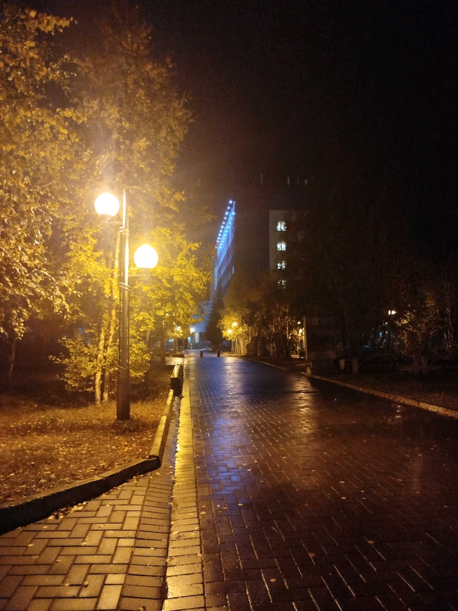 The image depicts a night scene on a wet, brick-paved walkway in Mirny, Russia. The walkway is illuminated by warm, yellow light from street lamps, casting reflections on the damp surface. To the left of the walkway, trees with yellowing foliage are visible, with fallen leaves scattered on the ground. A dark, modern building with illuminated windows and architectural lighting stands on the right side of the walkway, its facade reflecting the streetlights. The overall atmosphere is tranquil and slightly deserted.