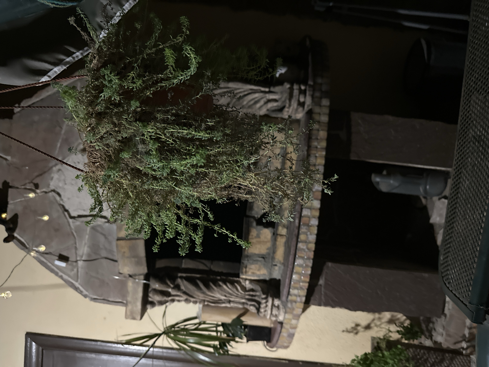 The image depicts an outdoor setting, possibly a patio or balcony, in Sochi, Russia, featuring an outdoor fireplace structure. A hanging potted plant with green foliage occupies the central foreground, obscuring a portion of the fireplace. The fireplace itself is constructed from stone and brick, with a hearth area visible. Decorative elements, such as carved columns, adorn the sides of the fireplace opening. In the background, string lights are visible, suggesting an evening or nighttime scene. Other elements include a doorframe on the left, a tall potted plant, and what appears to be a watering can and a trash receptacle. The overall lighting is dim, with the string lights and ambient light from the surroundings providing illumination. The foreground is occupied by a portion of a table with a textured surface.