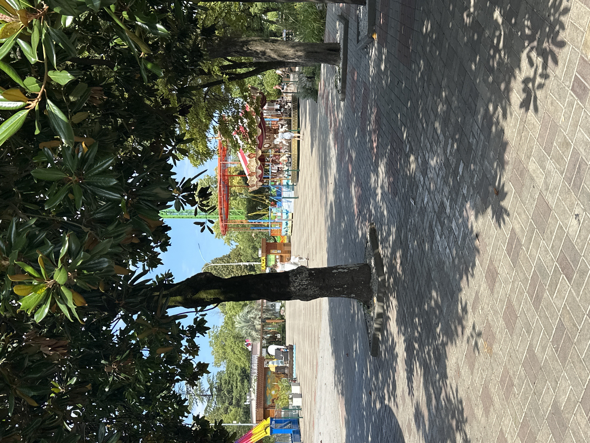 The image depicts an outdoor scene, likely an amusement park or recreational area, with a carousel visible in the background. Trees with large, glossy green leaves provide shade over a paved walkway made of rectangular bricks laid in a herringbone pattern. Sunlight casts dappled shadows from the foliage onto the ground. In the distance, a colorful carousel with horses and decorative elements is operational, with several people visible on or around it. A woman in a light-colored dress and a child are walking away from the camera on the paved area. Other structures, possibly food stalls or ticket booths, are present in the mid-ground. The sky is clear and blue. The overall impression is one of a sunny day in a lively outdoor setting. Given the context of Sochi, Russia, this could be a scene from one of its many entertainment venues or parks, possibly near the coast.