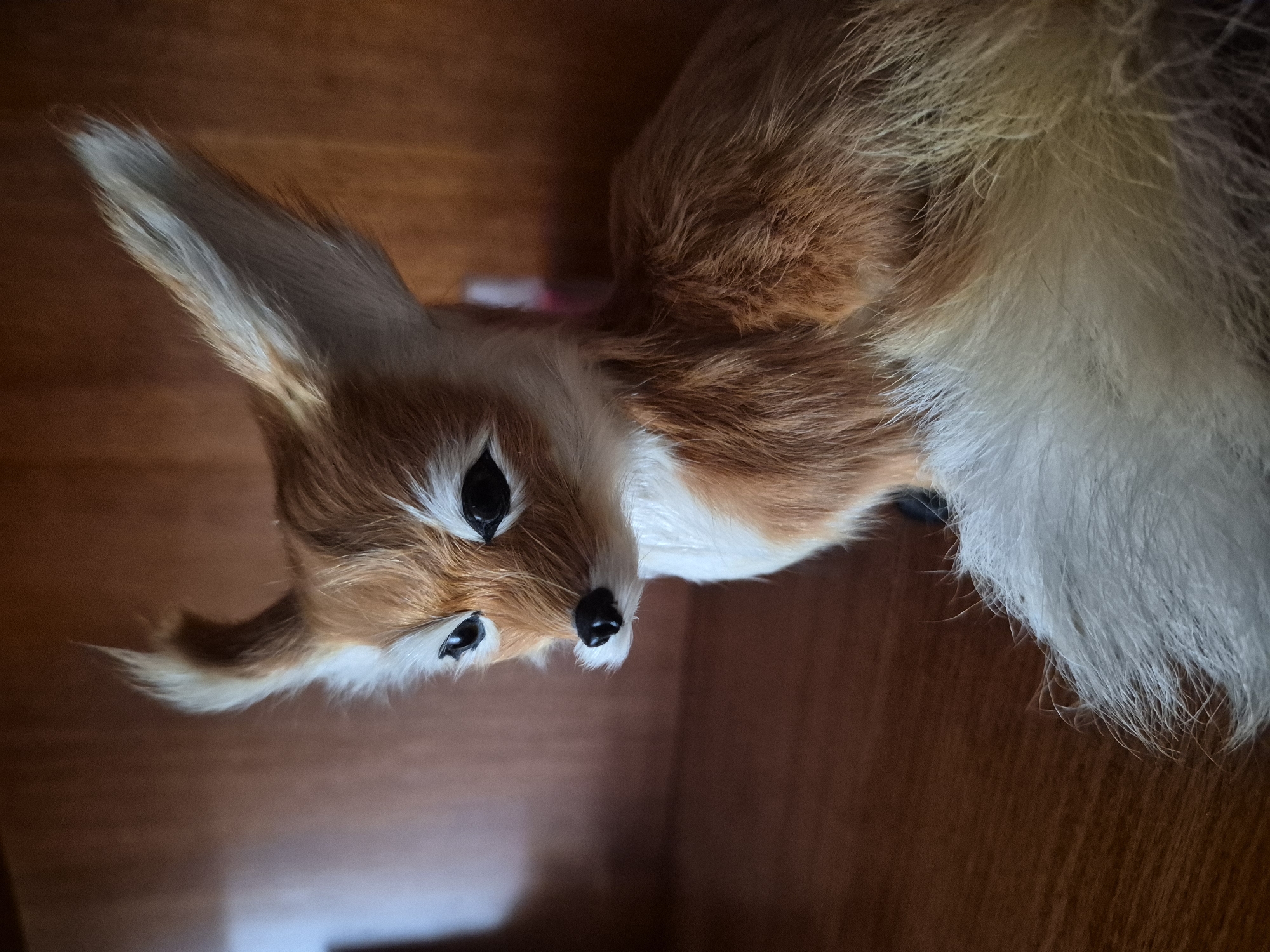 A close-up, medium shot captures a plush toy fennec fox, positioned on a wooden surface. The toy is predominantly tan and white, with large, pointed ears that stand erect. Its eyes are black and beady, and its nose is a small black button. The fur appears soft and fluffy, with distinct markings of tan and white. The background is a blurred wooden surface, suggesting it is indoors. The lighting is dim, with shadows cast on the left side of the frame, creating a warm and intimate atmosphere.