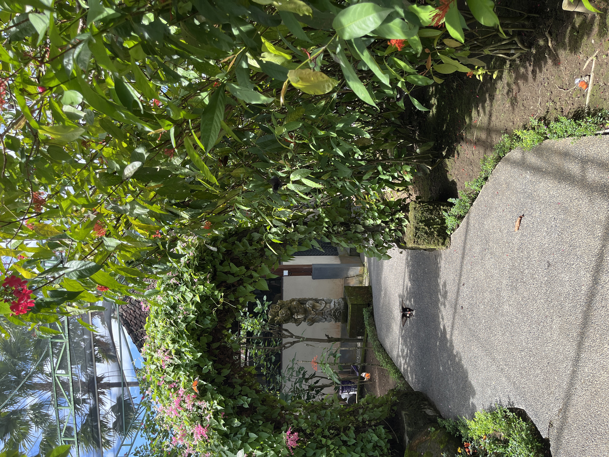 The image captures a pathway in Sukawati, Indonesia. The path is paved with small gray stones and bordered by lush greenery, including flowering vines and trees. The foliage creates a natural archway over the path, dappling it with sunlight. In the background, a building with a pale facade is partially visible through the greenery. A stone statue sits among the plants, adding to the garden's ambiance. A bird stands on the path. The location suggests a botanical garden or a carefully maintained private garden.