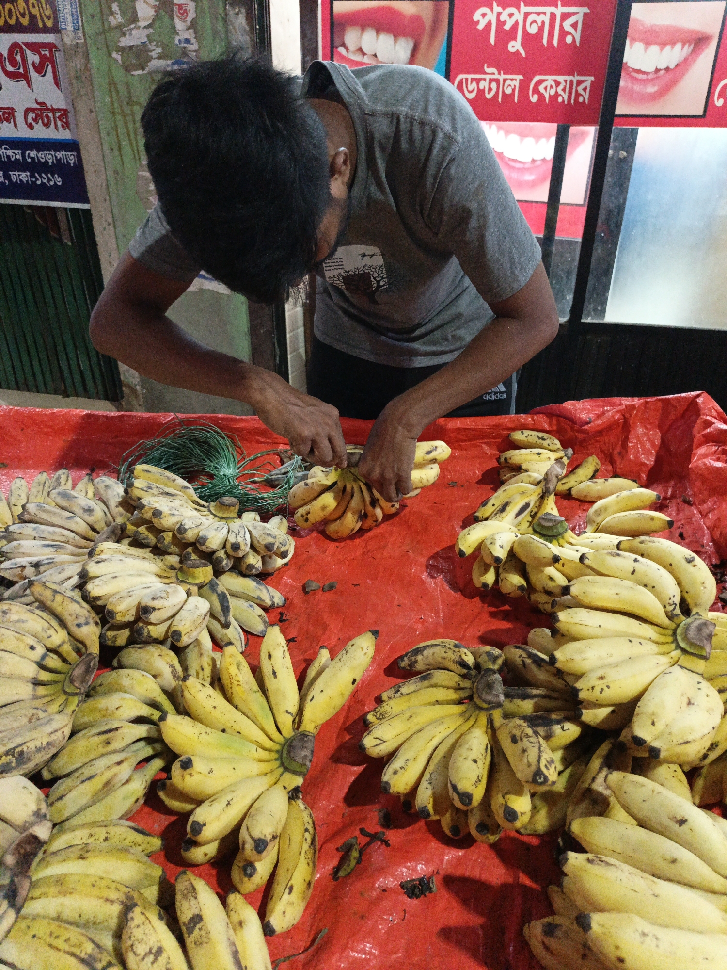 A man is shown standing behind a table laden with numerous bunches of yellow bananas on a red surface. He is wearing a gray t-shirt and black pants. The man is bending over, his dark hair falling forward, and his hands are engaged in separating a bunch of bananas.
Behind him is a window, adorned with images of white smiles and text written in Bengali (the language of Bangladesh). Signs with Bengali script and numbers are visible to the left of the scene.
The location appears to be a street-side market in a city setting. The brand "adidas" is noticeable on the man's pants. The bananas have some spots and blemishes, indicating they may be ripening or slightly overripe.