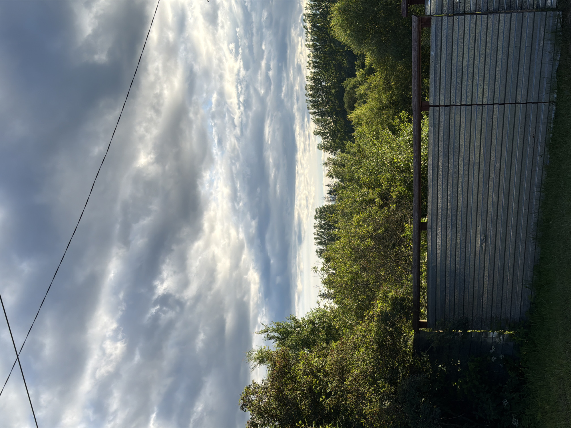 The image depicts an outdoor scene with a focus on the sky, trees, and a corrugated metal fence. The sky is filled with dramatic clouds, with some areas appearing dark and stormy, while others are illuminated by sunlight, suggesting a dynamic weather condition and possibly late afternoon or early evening. A thin, dark wire stretches diagonally across the upper left portion of the sky, possibly a power line.
To the right of the sky, a dense line of green trees forms a natural backdrop. The trees are lush and full, indicating a temperate season, likely summer or late spring. The foliage is varied in shade and texture, with some trees appearing darker and more distant, while others are closer and more brightly lit by the sun.
On the far right, a section of a corrugated metal fence runs vertically. The fence appears to be made of galvanized metal, with visible vertical ridges. It is supported by a wooden post on the left side, partially visible. The fence seems to separate the natural elements of the trees and sky from a grassy area to its right. The grass is green and appears to be recently mowed or naturally short.
The overall mood of the image is one of natural beauty and perhaps a touch of melancholy due to the dramatic sky. The lighting suggests the sun is low, casting long shadows and creating a sense of depth. The scene is peaceful and quiet, with no visible human activity. No text is present in the image. The location context of Moshenskoe, Russia, aligns with the natural landscape and fence type shown.