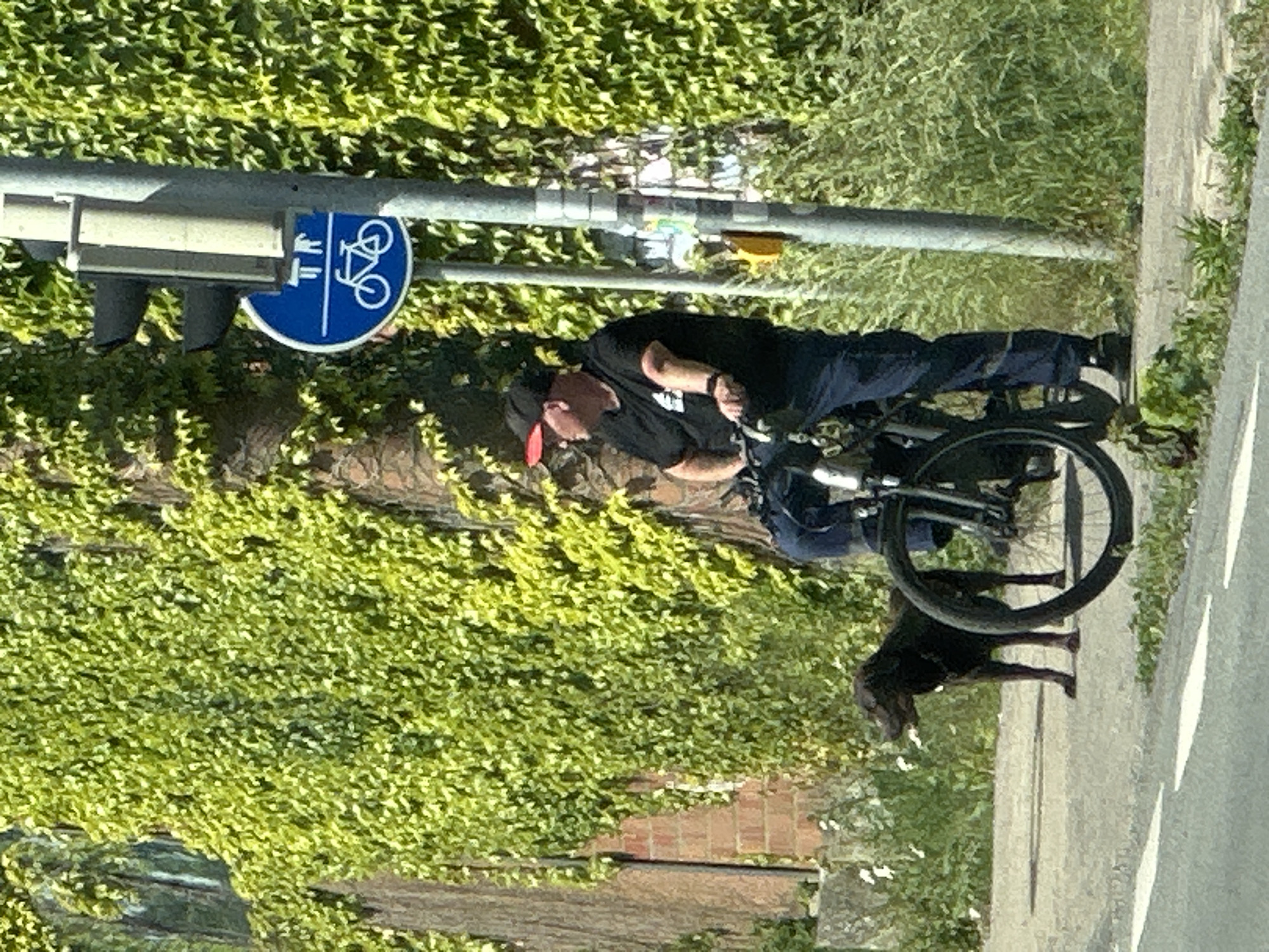 A man in a black shirt, dark pants, and a baseball cap rides a handcycle along a sidewalk in Buxtehude, Germany. A black Labrador Retriever trots alongside the handcycle. A bicycle lane sign is visible on a pole next to a traffic light covered in green vegetation. The background includes a brick wall and dense green foliage. The sidewalk is adjacent to a roadway with white lane markings.