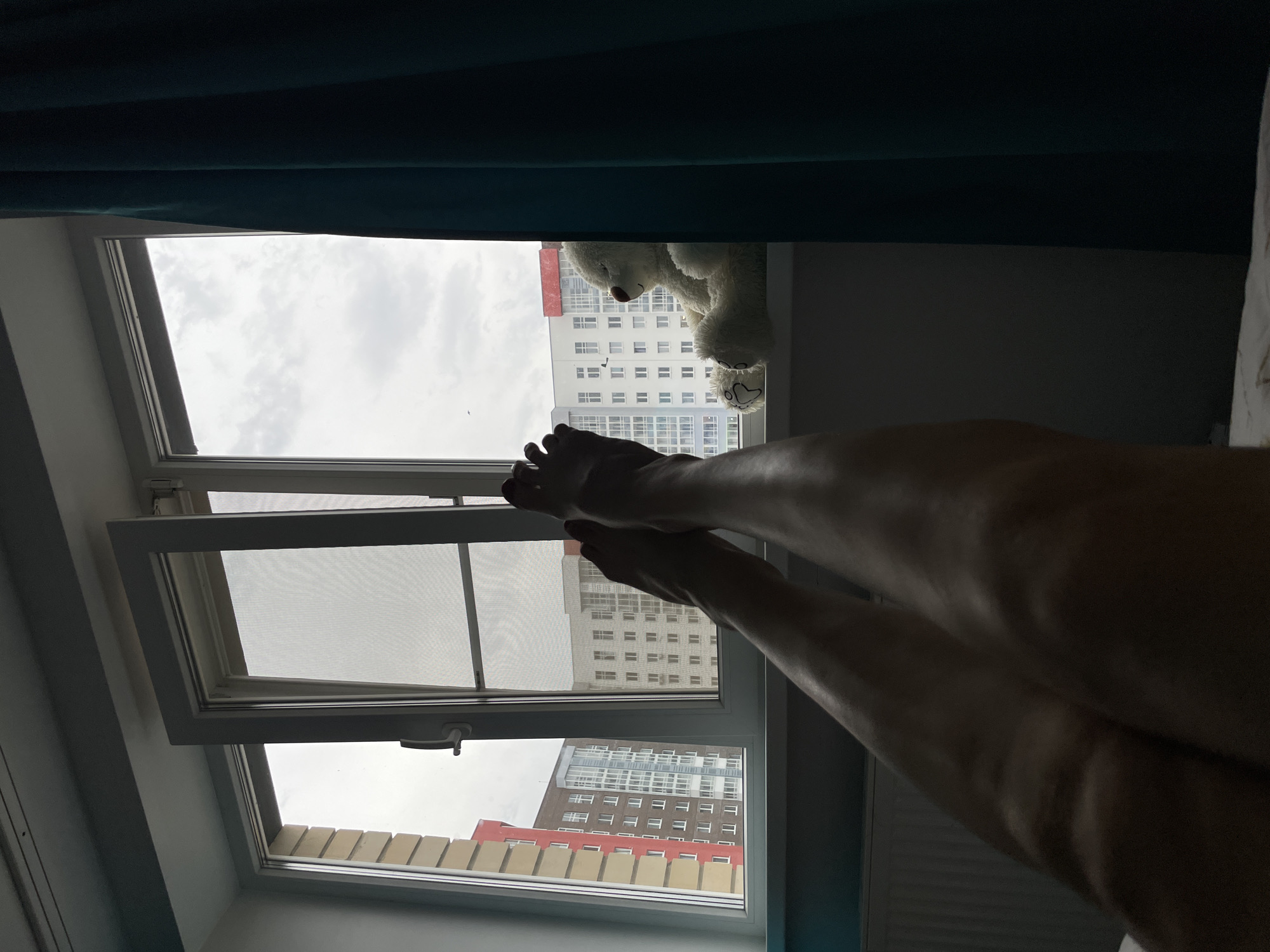 The image shows a person's legs extended towards an open window. Outside the window, buildings are visible under a cloudy sky. A stuffed bear sits on the windowsill. The interior appears to be a bedroom, given the presence of the bed and curtains.
