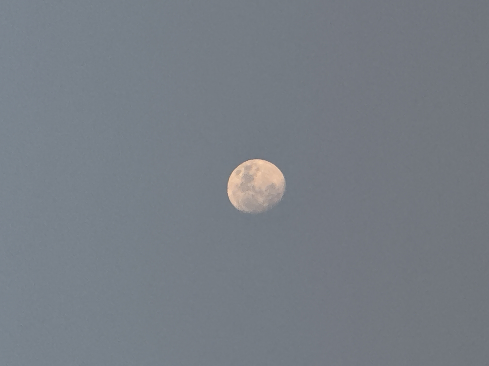 A photograph captures a partial view of a moon against a muted gray sky. The moon, exhibiting a warm, pale orange hue, is partially illuminated, revealing subtle craters and surface textures. The sky is devoid of any discernible clouds or celestial bodies other than the moon. There are no visible landmarks or environmental features that can be used to identify a specific location in Torrevieja, Spain, or any other geographical area. The composition is minimalist, focusing solely on the moon as the central subject.