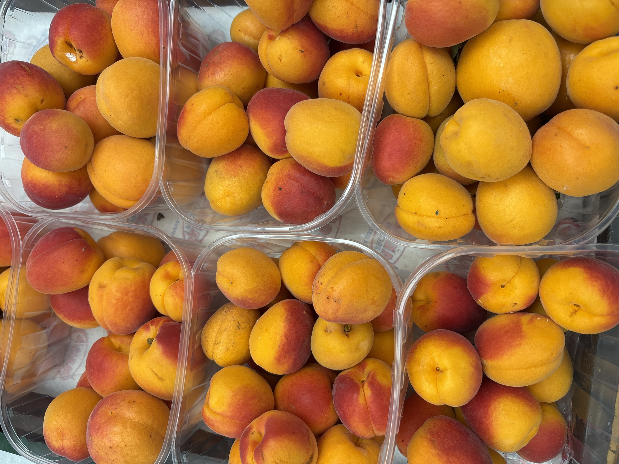 In the city of Boreti, Montenegro, a close-up, overhead shot reveals multiple clear plastic containers filled with ripe apricots. The apricots are predominantly orange and yellow, with some exhibiting blush red tones. The containers are stacked and arranged in a manner that suggests a market or grocery store display. The lighting appears to be from above, illuminating the fruit and highlighting their smooth skin and the characteristic cleft of apricots. There are no people or other objects visible in the frame.