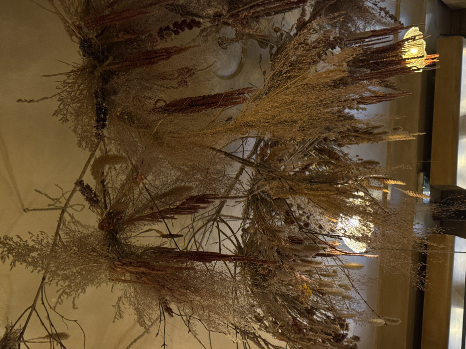 The scene depicts an interior view of a ceiling installation at Le Relais Plaza, located within the Hôtel Plaza Athénée in Paris, France. The primary subject is an extensive overhead botanical arrangement composed of dried elements. This installation features intertwined bare branches forming a structural base, from which dense clusters of light-beige, feathery dried grasses or plumes cascade downwards. Interspersed are numerous long, dark reddish-brown dried amaranthus stalks hanging vertically, along with thinner, darker botanical elements resembling dried lavender or similar stalks. The off-white ceiling exhibits subtle, ornate plasterwork or molding. A single light fixture, presenting as a bell-shaped or globe-like object with a textured or mesh shade, is integrated into the botanical display in the lower right, emitting a warm yellow light. Additional ambient light illuminates the dried flora, casting highlights. The lower portion of the frame reveals blurred architectural elements, consistent with upper room structures or beams, beneath the hanging decor. No individuals are visible.