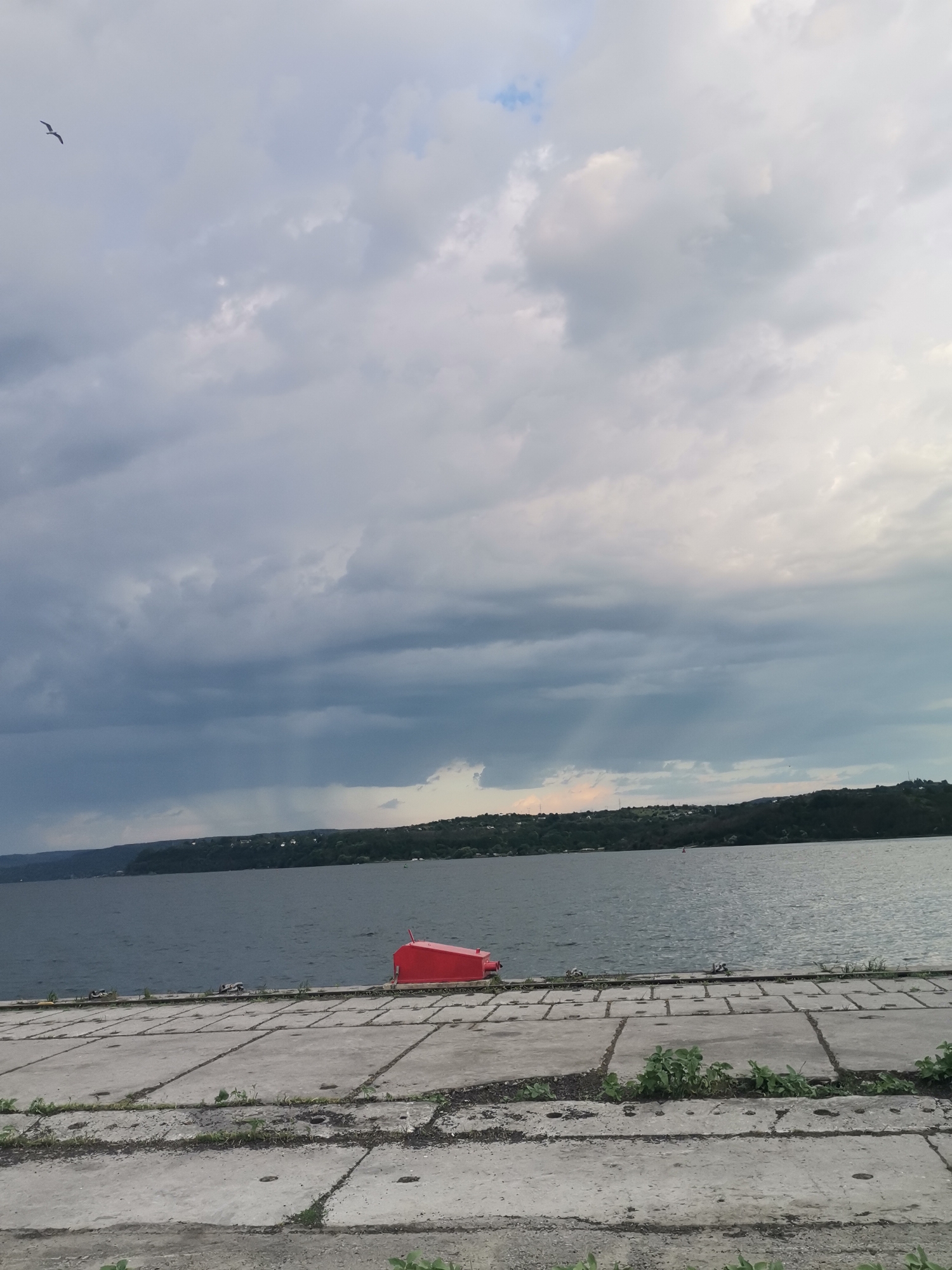 The image depicts a waterfront scene. In the foreground is a concrete pier or walkway, composed of rectangular slabs. Vegetation grows in the cracks. In the midground, there is a body of water, presumably a lake or river. A red object is floating in the water near the pier. In the background is a treeline. The sky is overcast with various shades of grey and some hints of blue. A bird is flying in the upper left of the image. Given the request for the location in Ezerovo, Bulgaria, it can be inferred that the waterbody is the lake, and the treeline corresponds to the surrounding natural landscape of the area.
