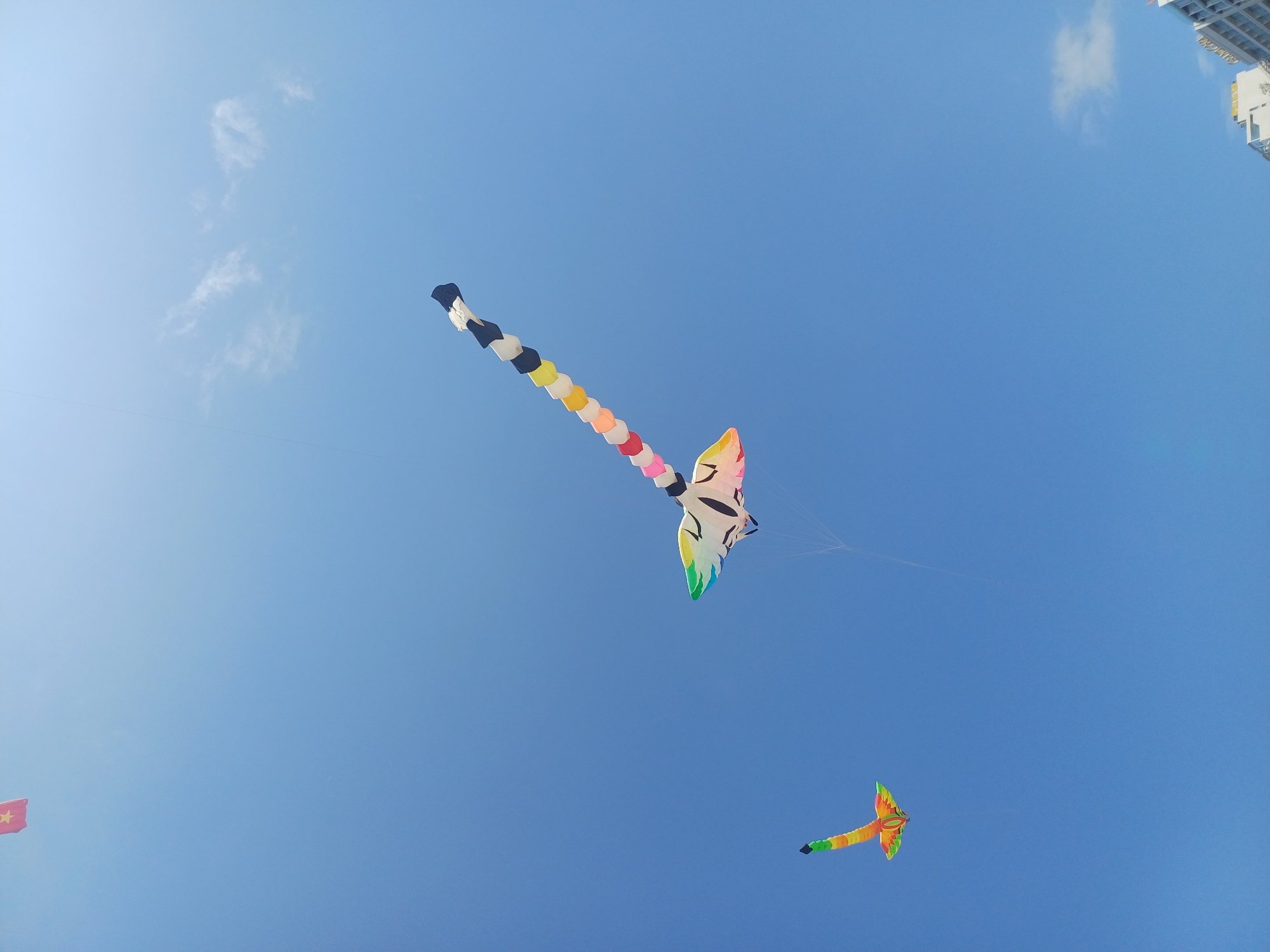 Two kites are flying in a clear blue sky. The kite on the left is small, bird-shaped, and multicolored, with orange, green, and yellow hues. The kite on the right is much larger, shaped like a dragon or snake with a segmented body. Its head is white with black markings, and its body is a series of colorful segments: pink, white, yellow, orange, red, and blue, culminating in a black tail. The kites are observed from below, with a portion of buildings visible in the bottom right corner of the frame, suggesting an urban coastal environment. The scene appears to be taking place in Nha Trang, Vietnam, a popular tourist destination known for its beaches and water activities.